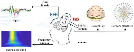 Brainsci 15 00731 g003