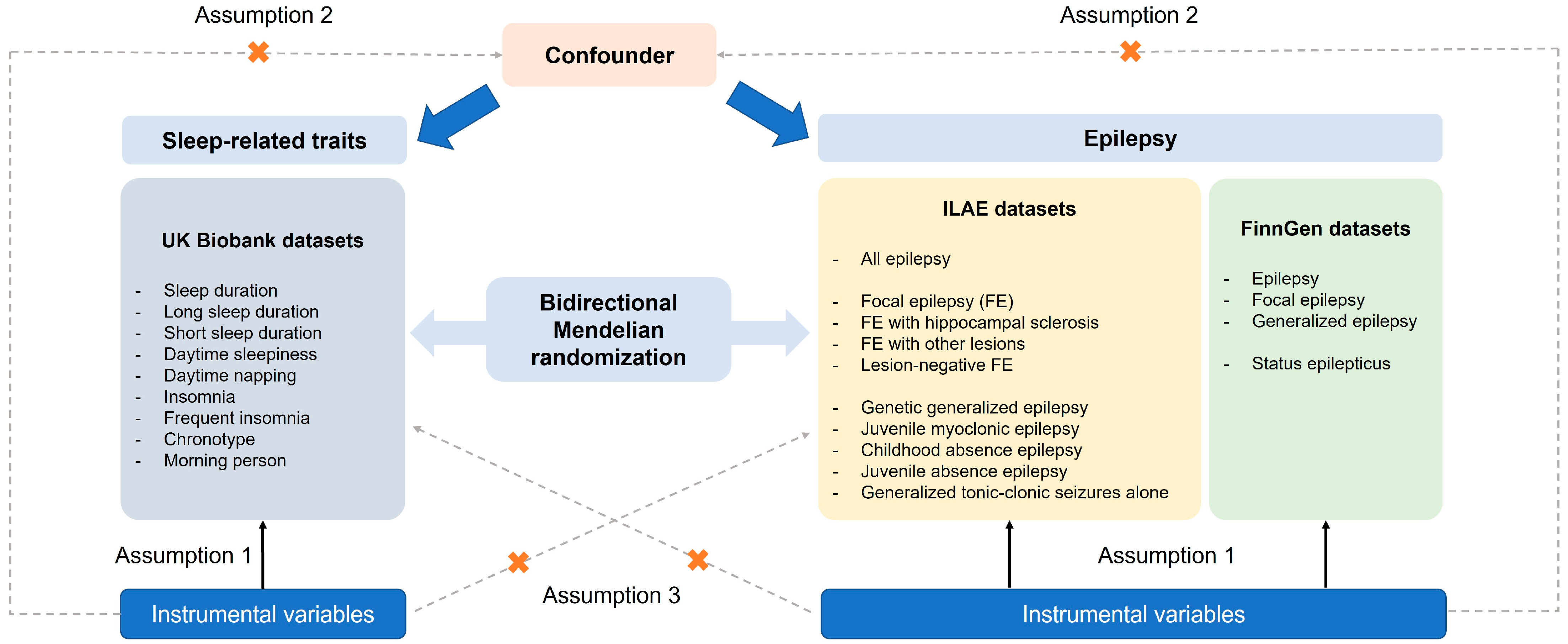 Brainsci 15 00749 g001