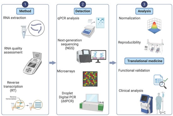 Brainsci 15 00756 g002