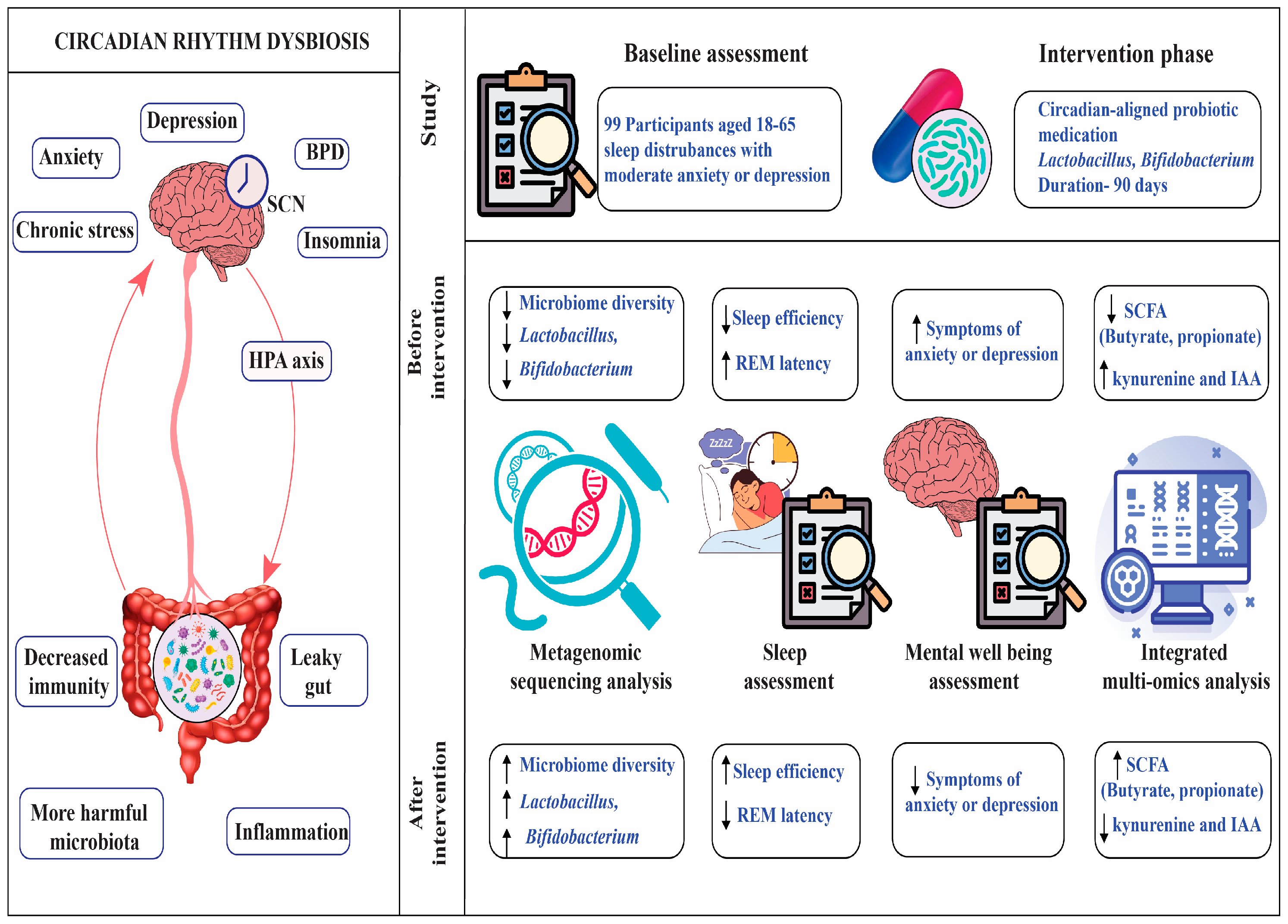 Brainsci 15 00761 g001 Brainsci 15 00761 g001