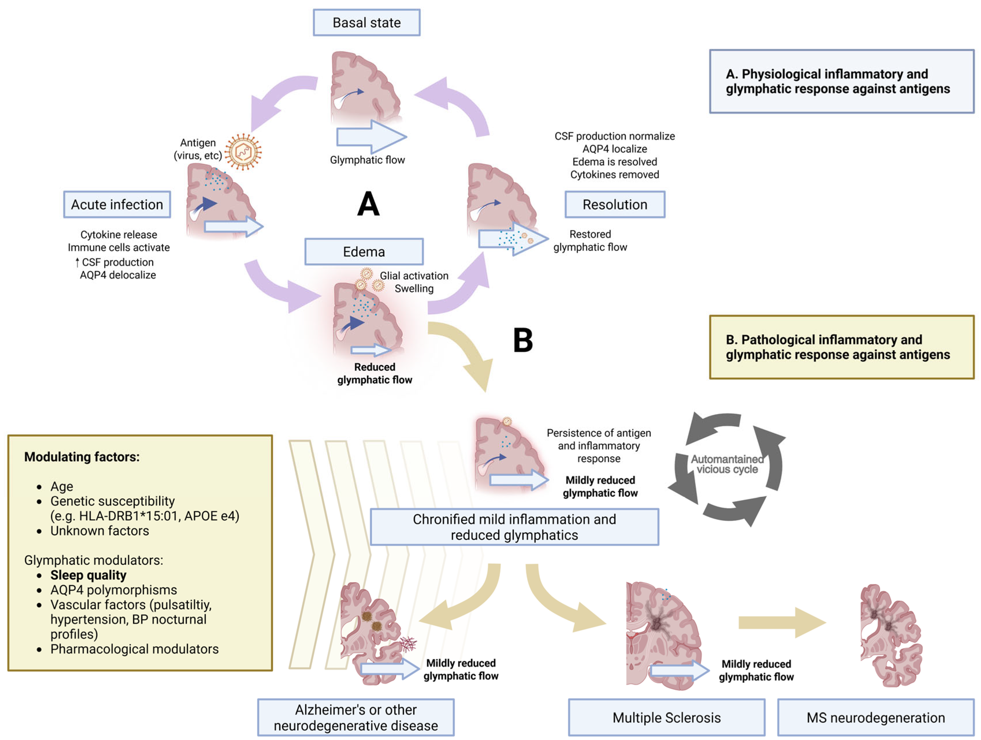 Brainsci 15 00766 g001