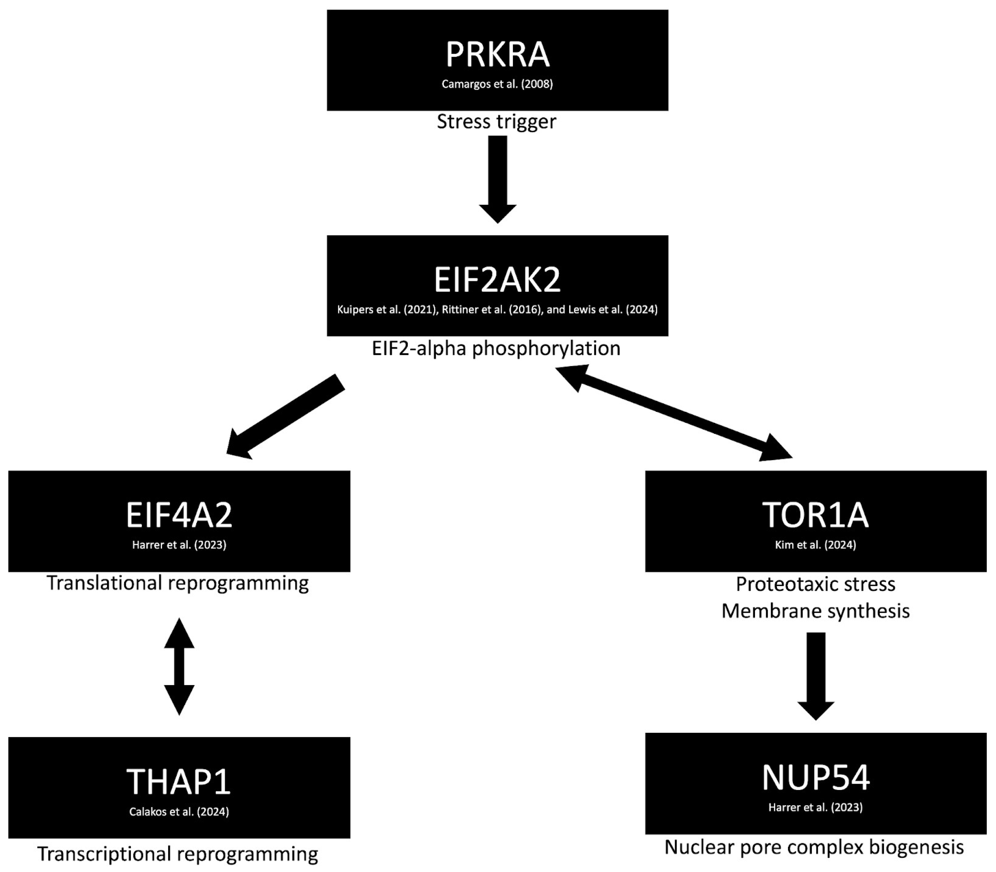 Brainsci 15 00767 g001 Brainsci 15 00767 g001