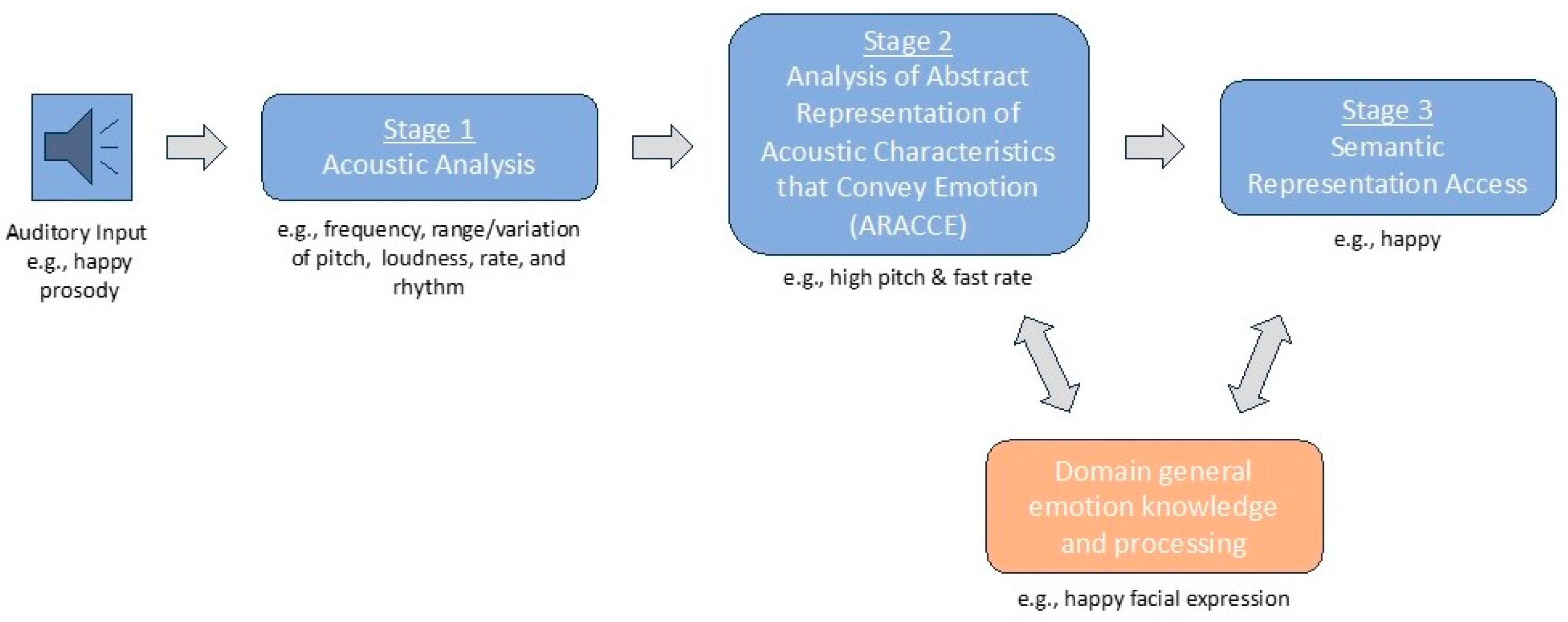 Brainsci 15 00769 g001