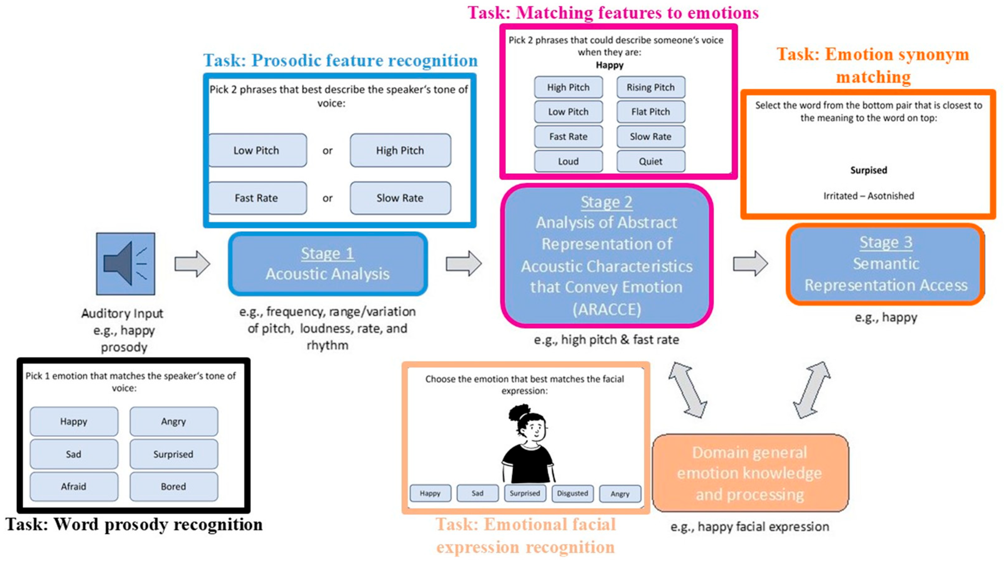 Brainsci 15 00769 g003