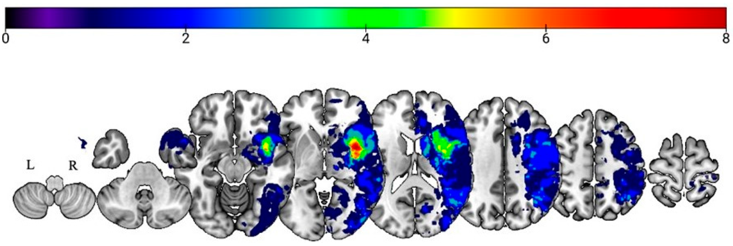 Brainsci 15 00769 g005