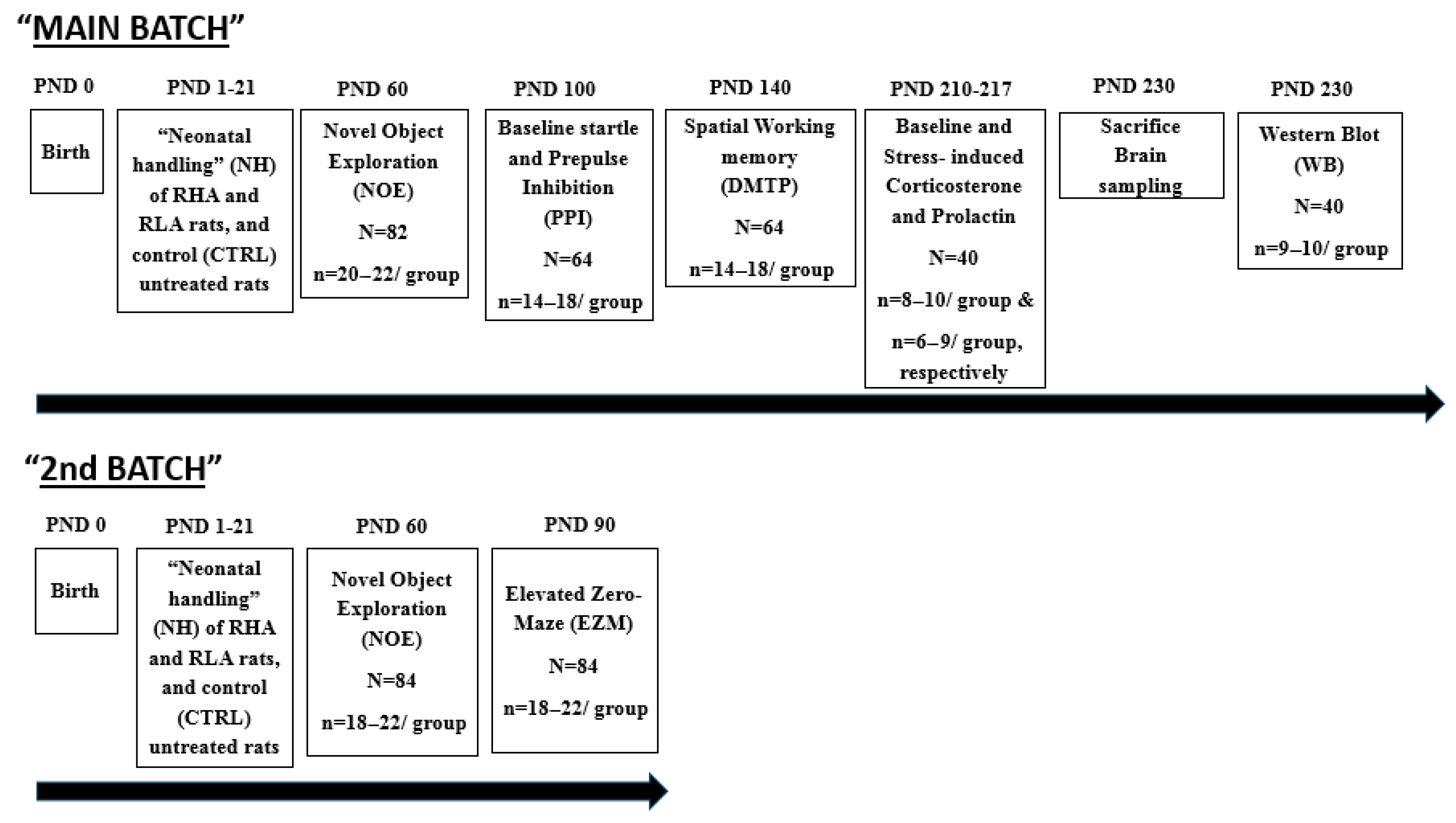 Brainsci 15 00776 g001