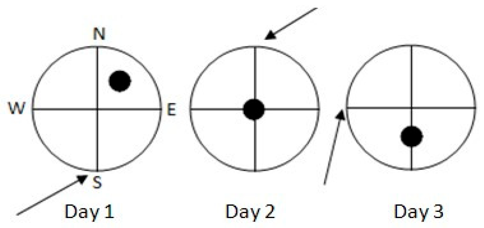 Brainsci 15 00776 g002