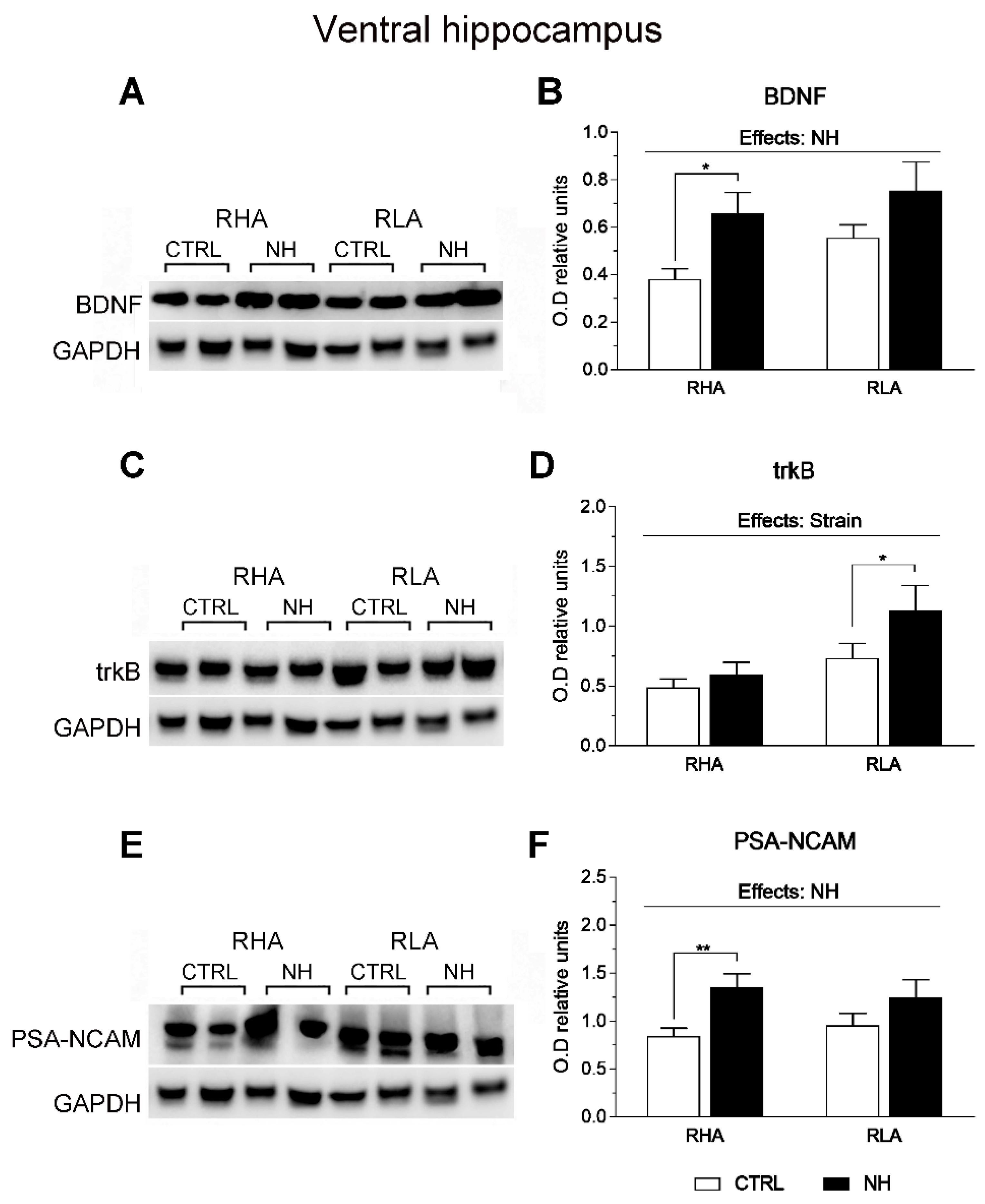 Brainsci 15 00776 g005