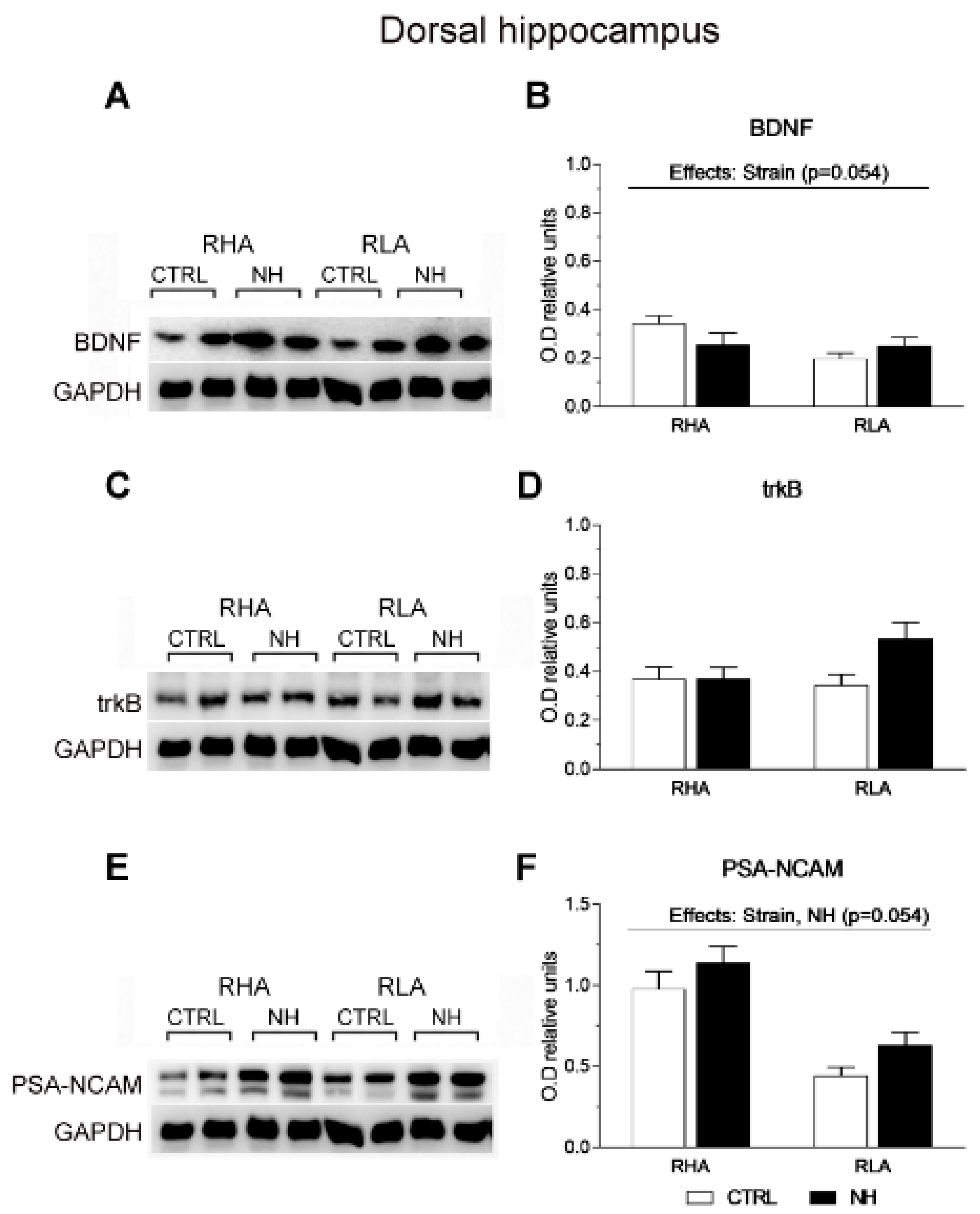 Brainsci 15 00776 g006