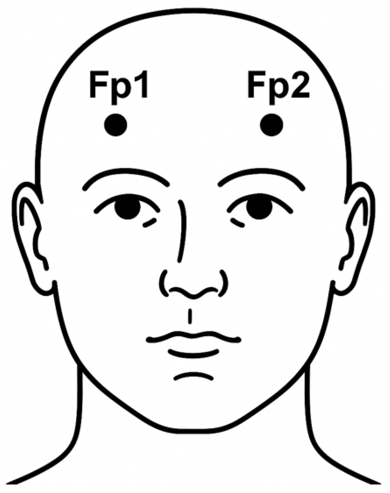 Brainsci 15 00789 g001