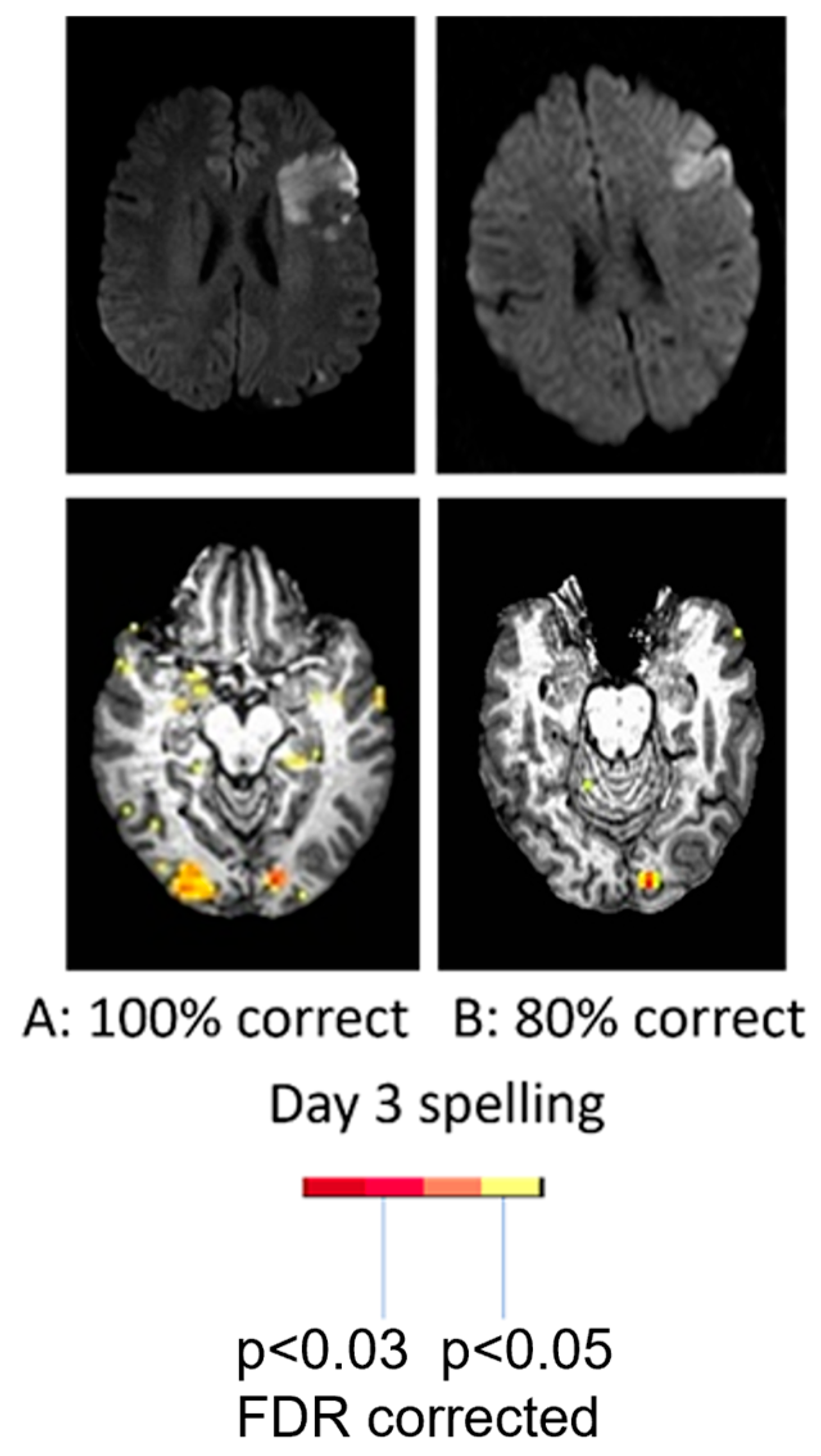 Brainsci 15 00790 g002