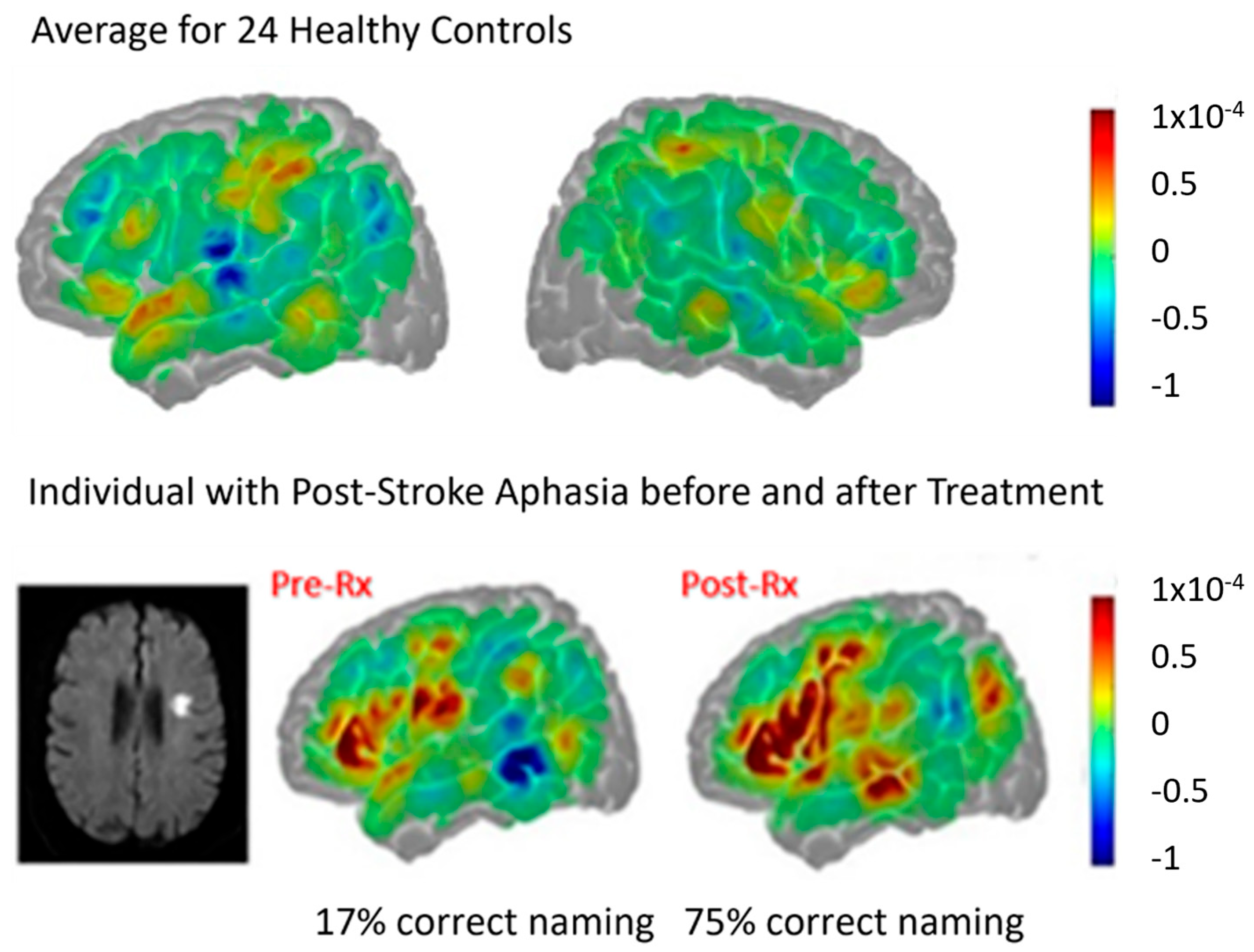 Brainsci 15 00790 g007