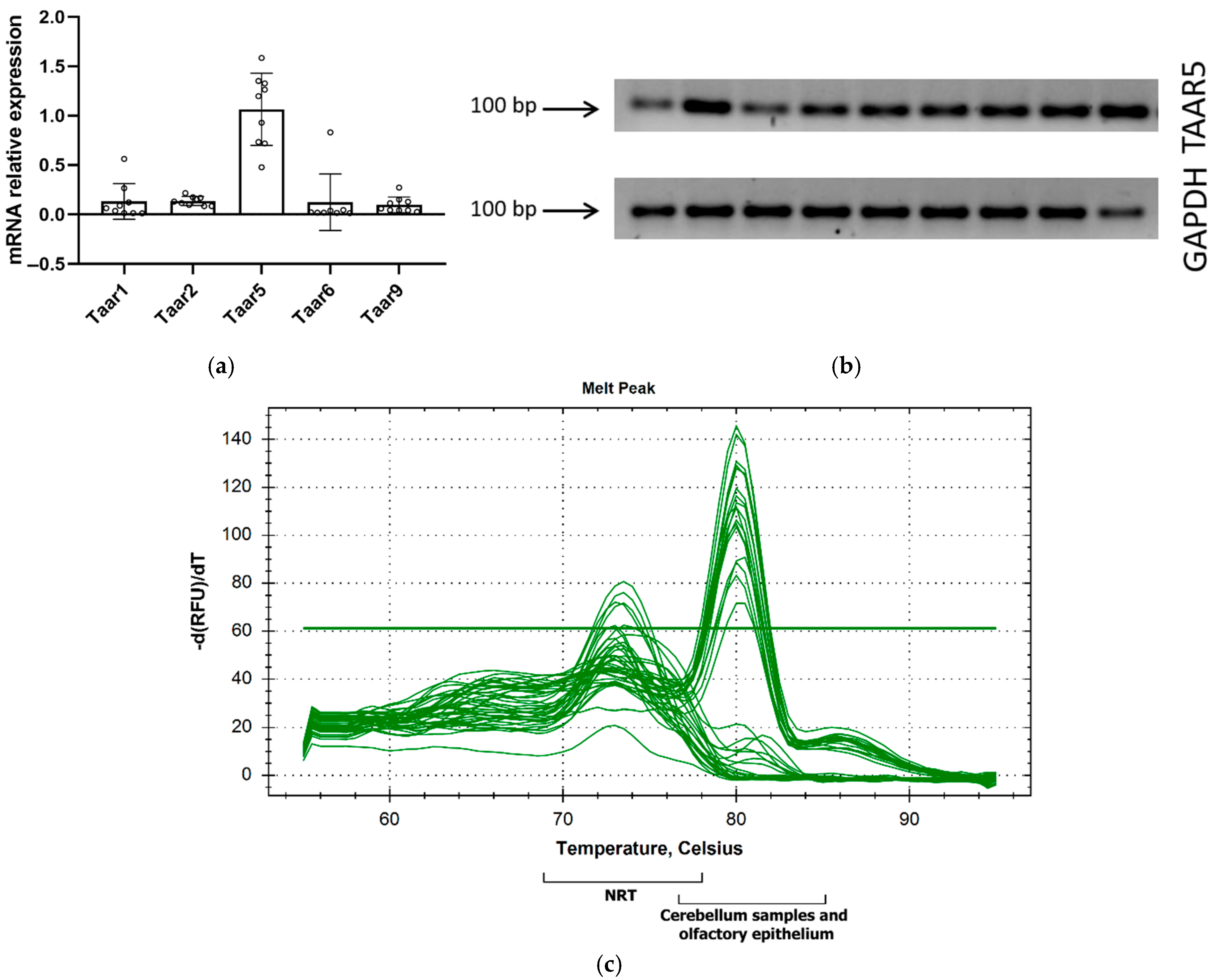 Brainsci 15 00791 g002 Brainsci 15 00791 g002