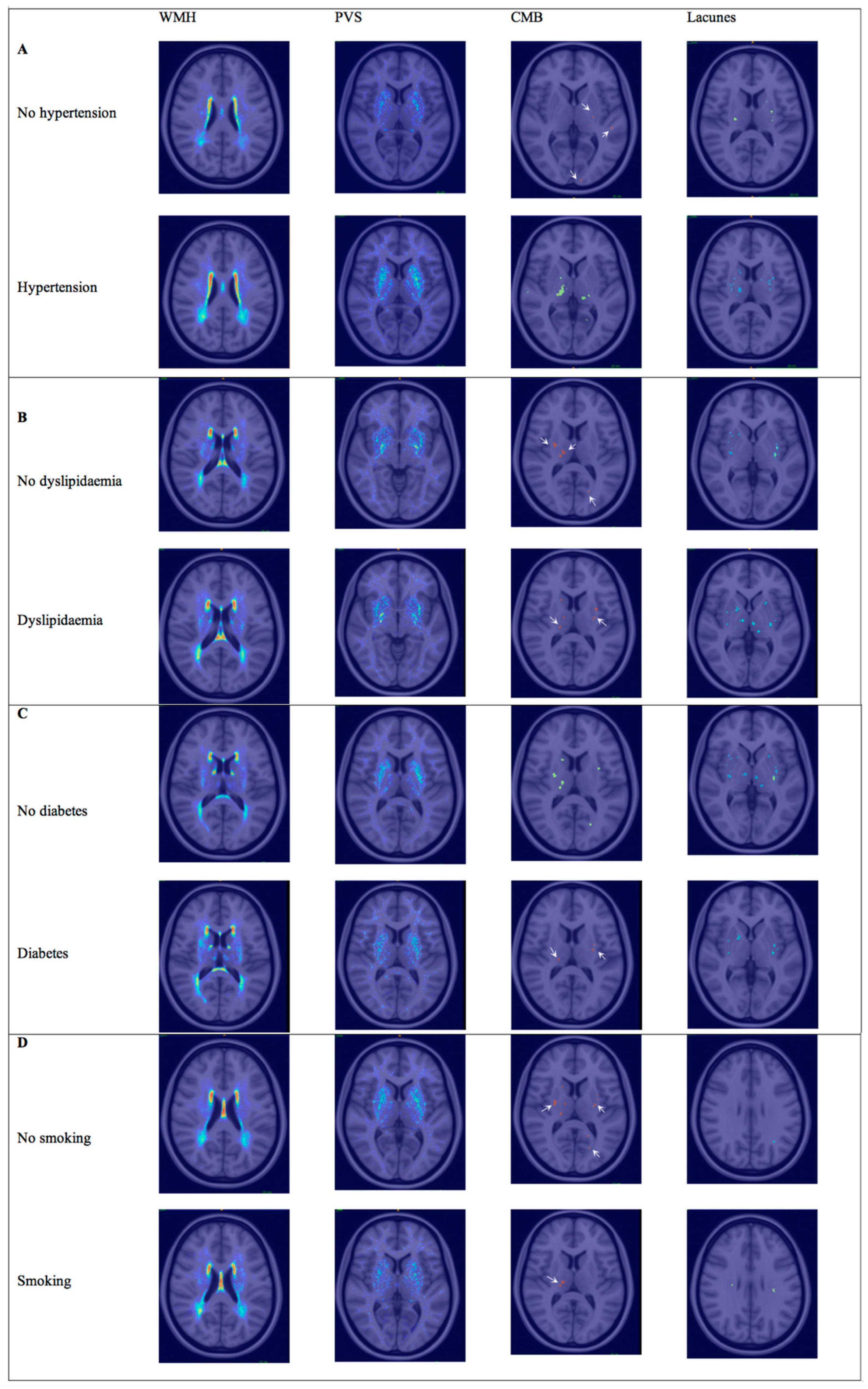 Brainsci 15 00804 g004 Brainsci 15 00804 g004