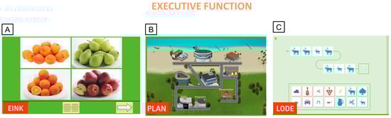 Brainsci 15 00807 g0a3