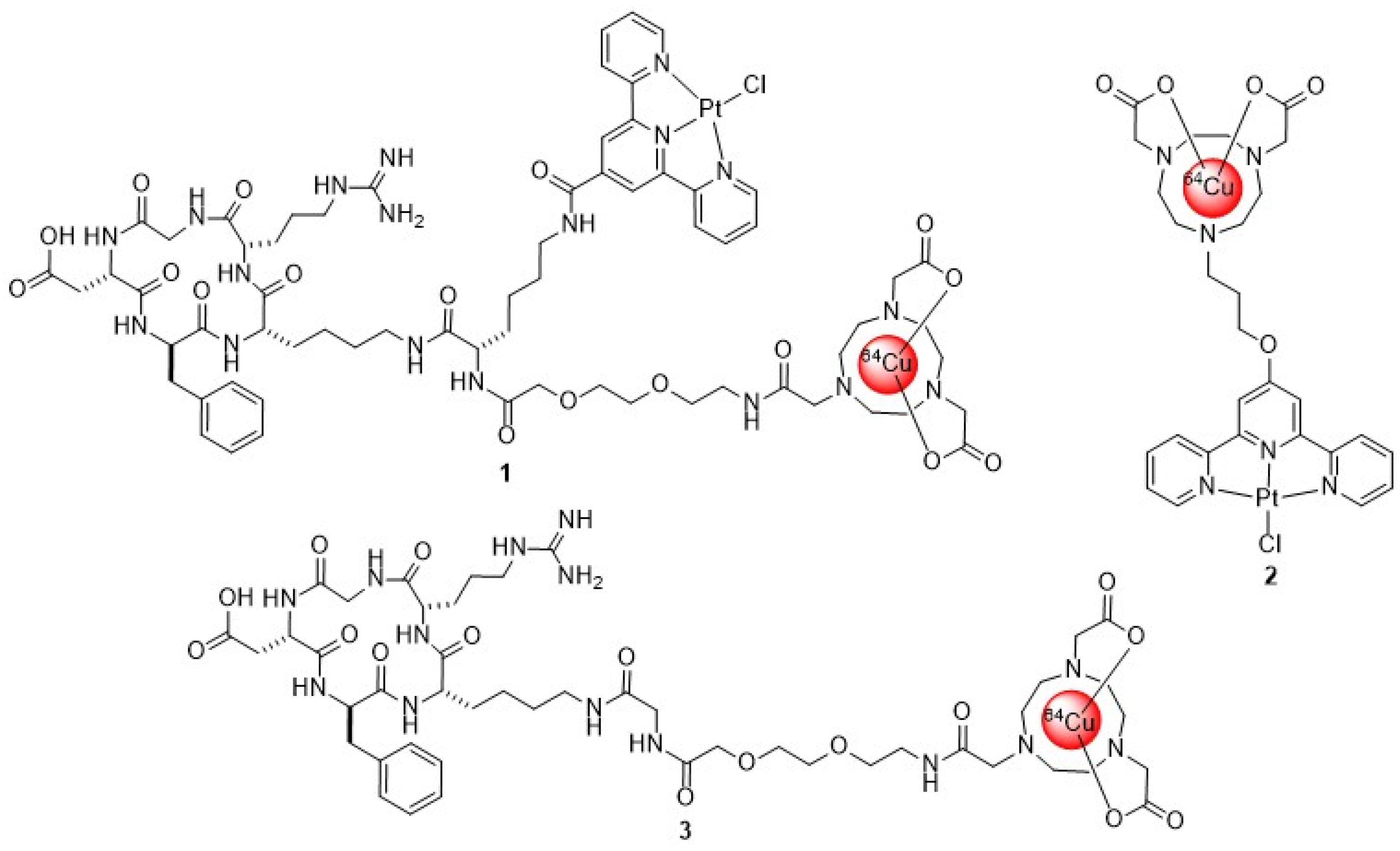 Brainsci 15 00844 g001