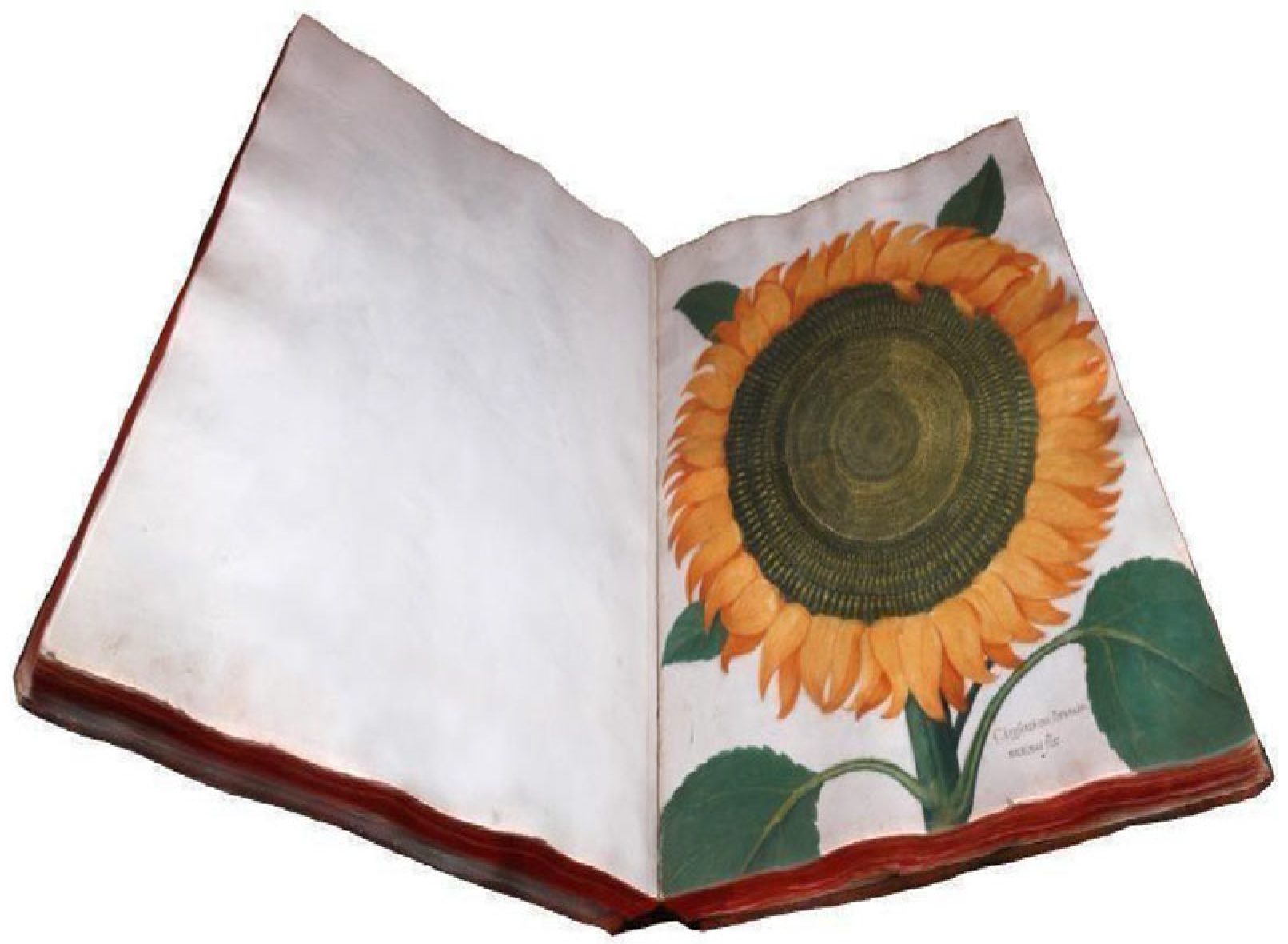 Brainsci 15 00852 g003 Brainsci 15 00852 g003