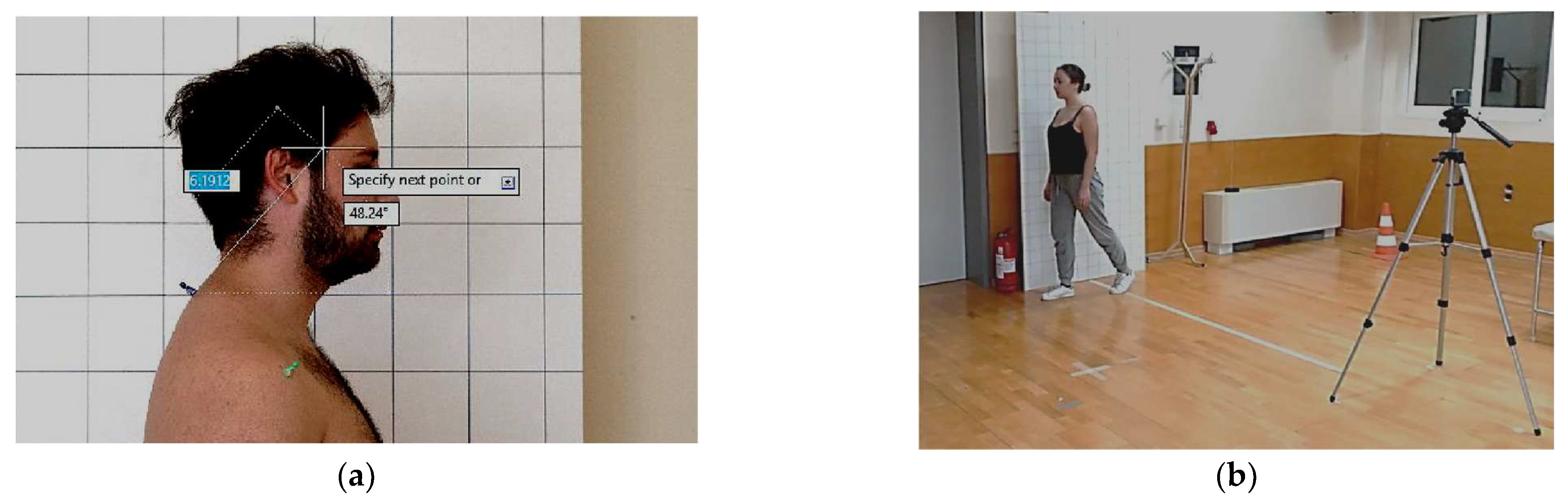 Brainsci 15 00873 g002 Brainsci 15 00873 g002