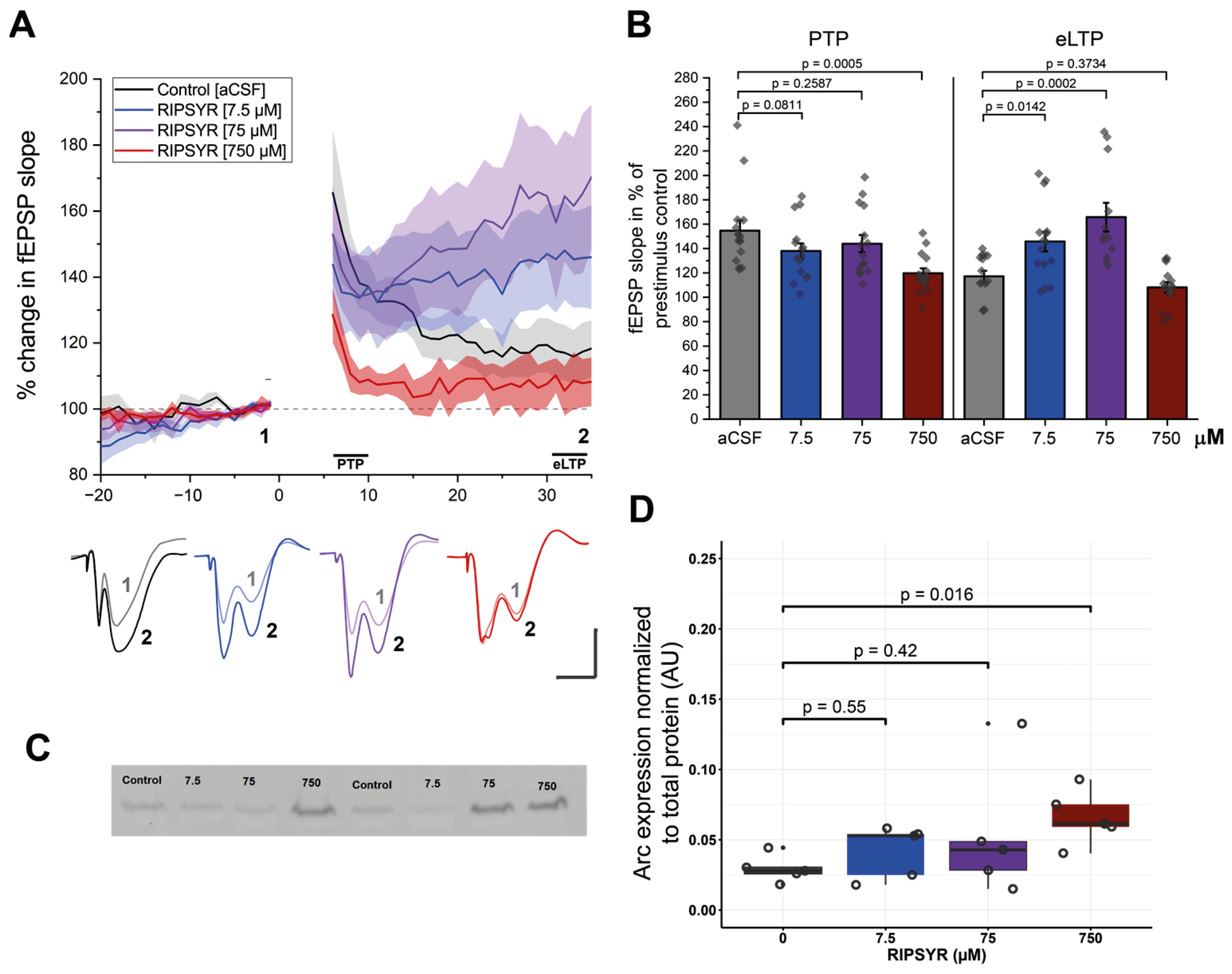 Brainsci 15 00881 g001 Brainsci 15 00881 g001
