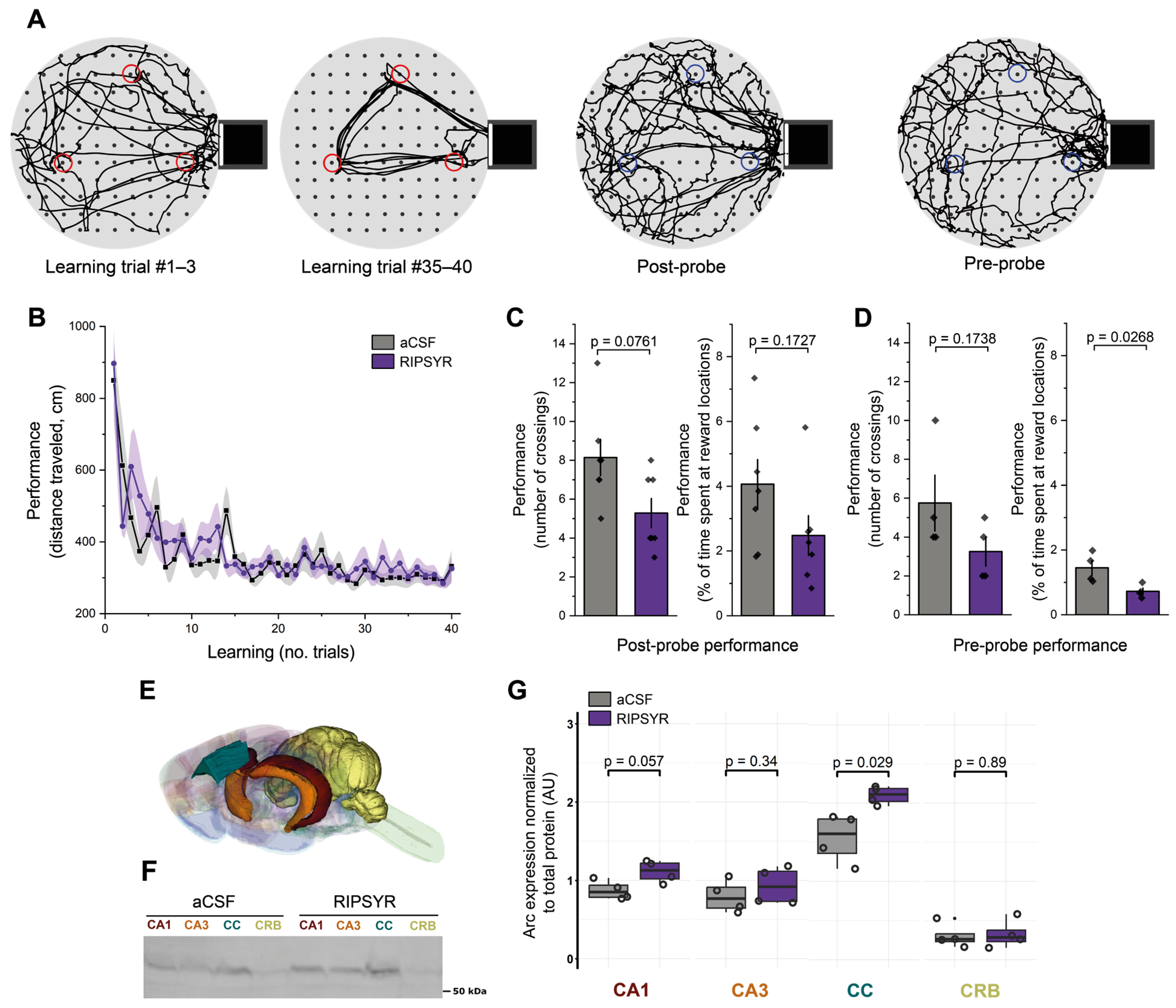 Brainsci 15 00881 g002 Brainsci 15 00881 g002