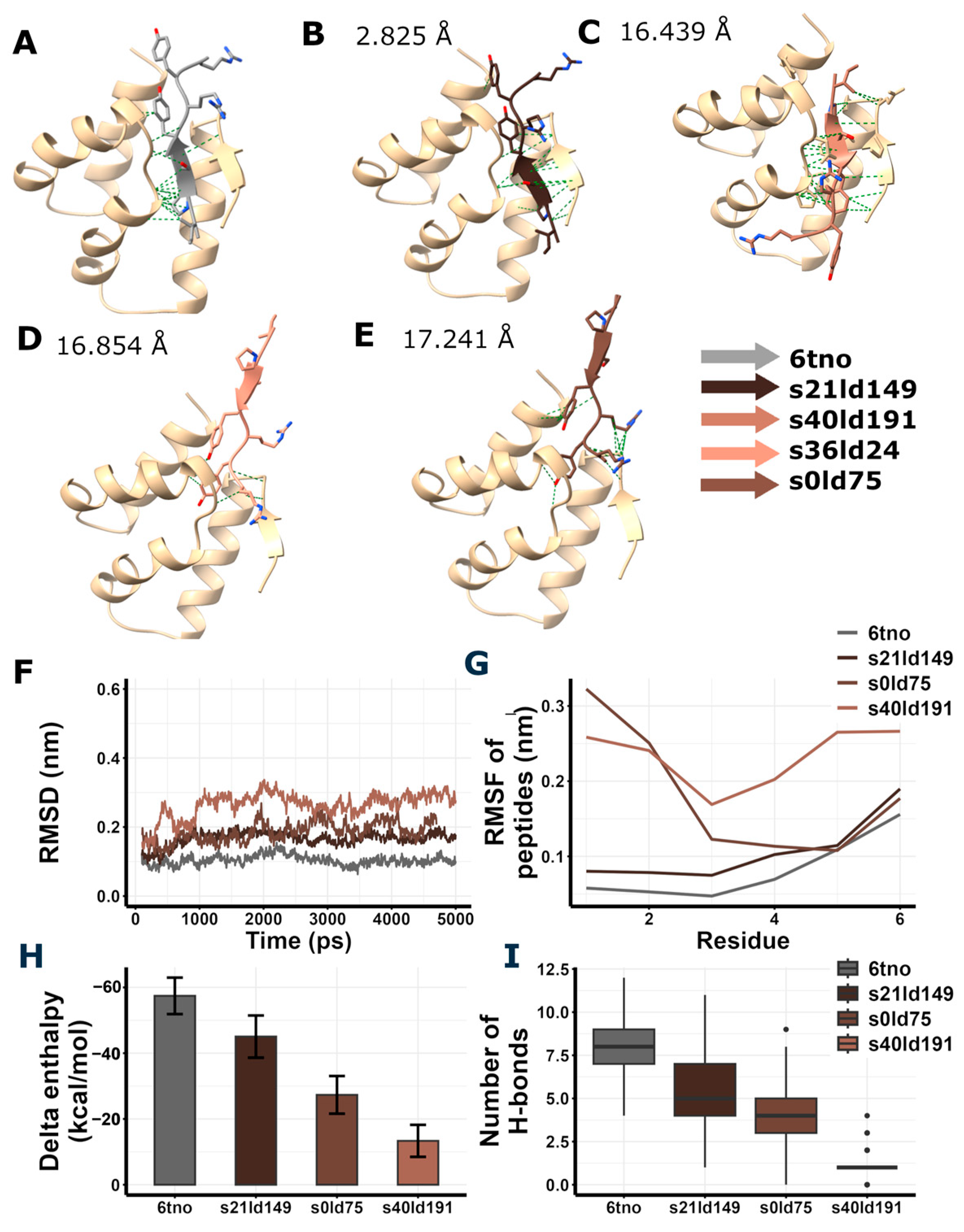 Brainsci 15 00881 g004 Brainsci 15 00881 g004