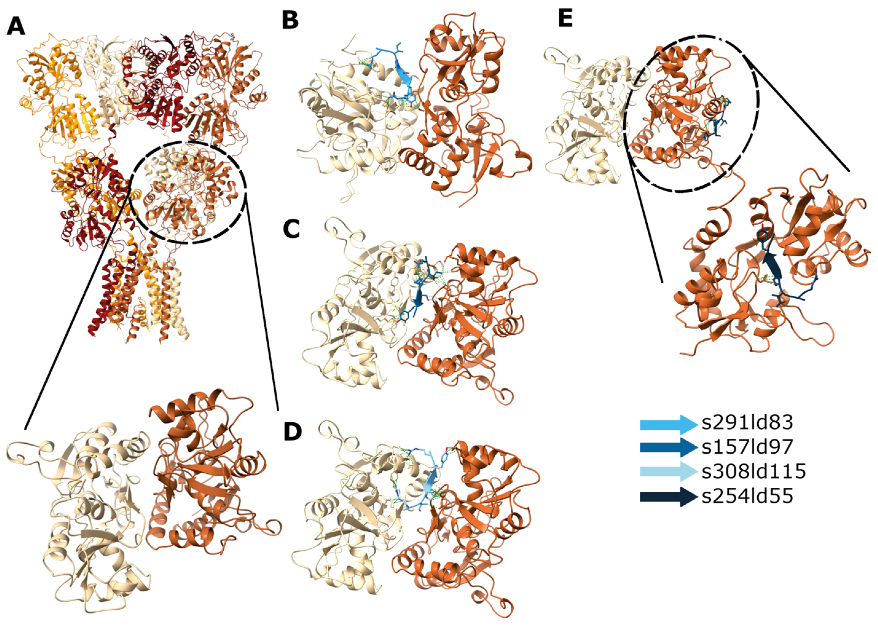 Brainsci 15 00881 g005 Brainsci 15 00881 g005
