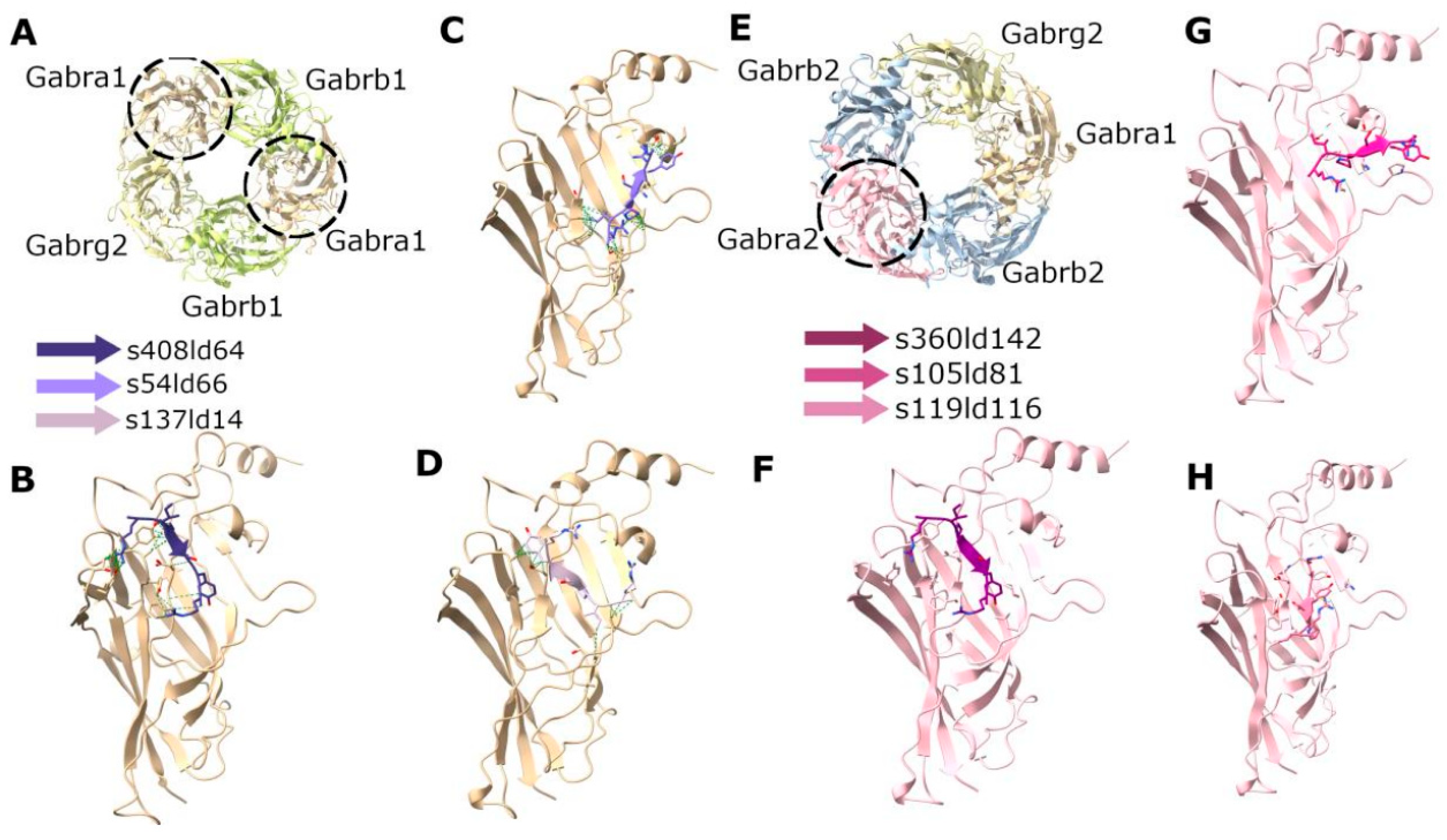 Brainsci 15 00881 g006 Brainsci 15 00881 g006