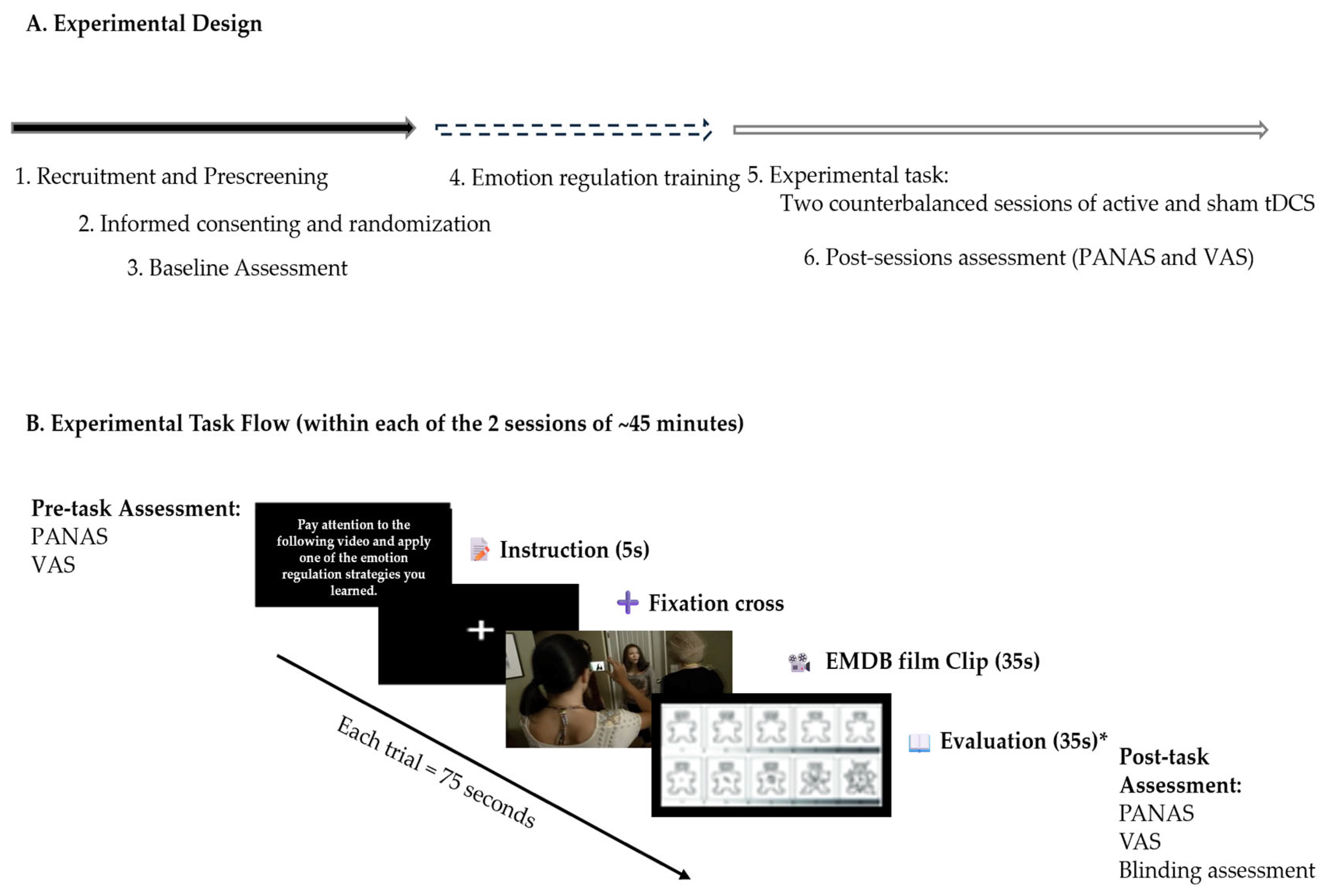 Brainsci 15 00898 g001