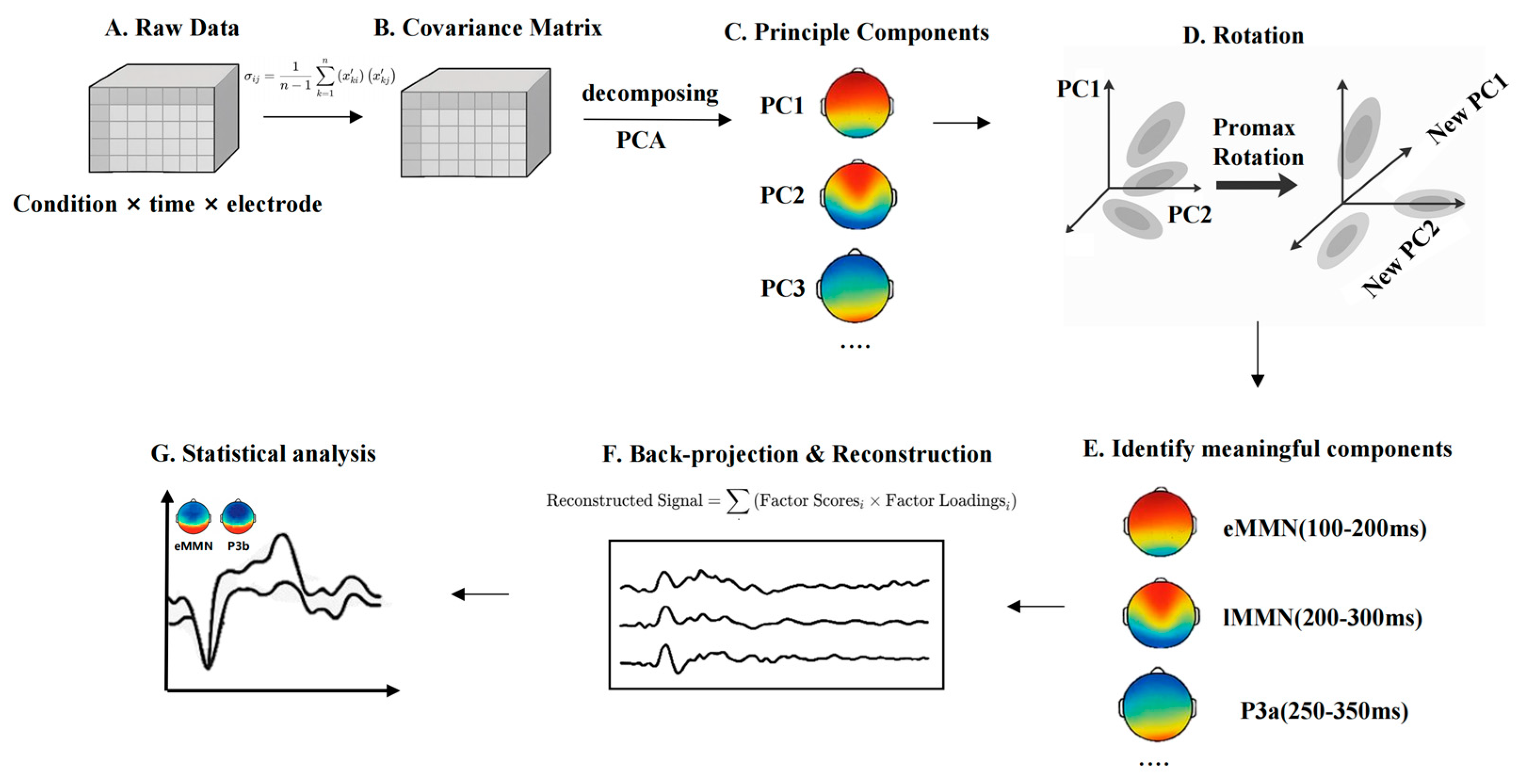 Brainsci 15 00905 g002