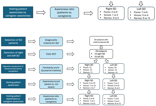 Brainsci 15 00912 i002