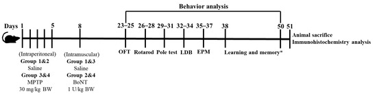 Brainsci 15 00916 g001