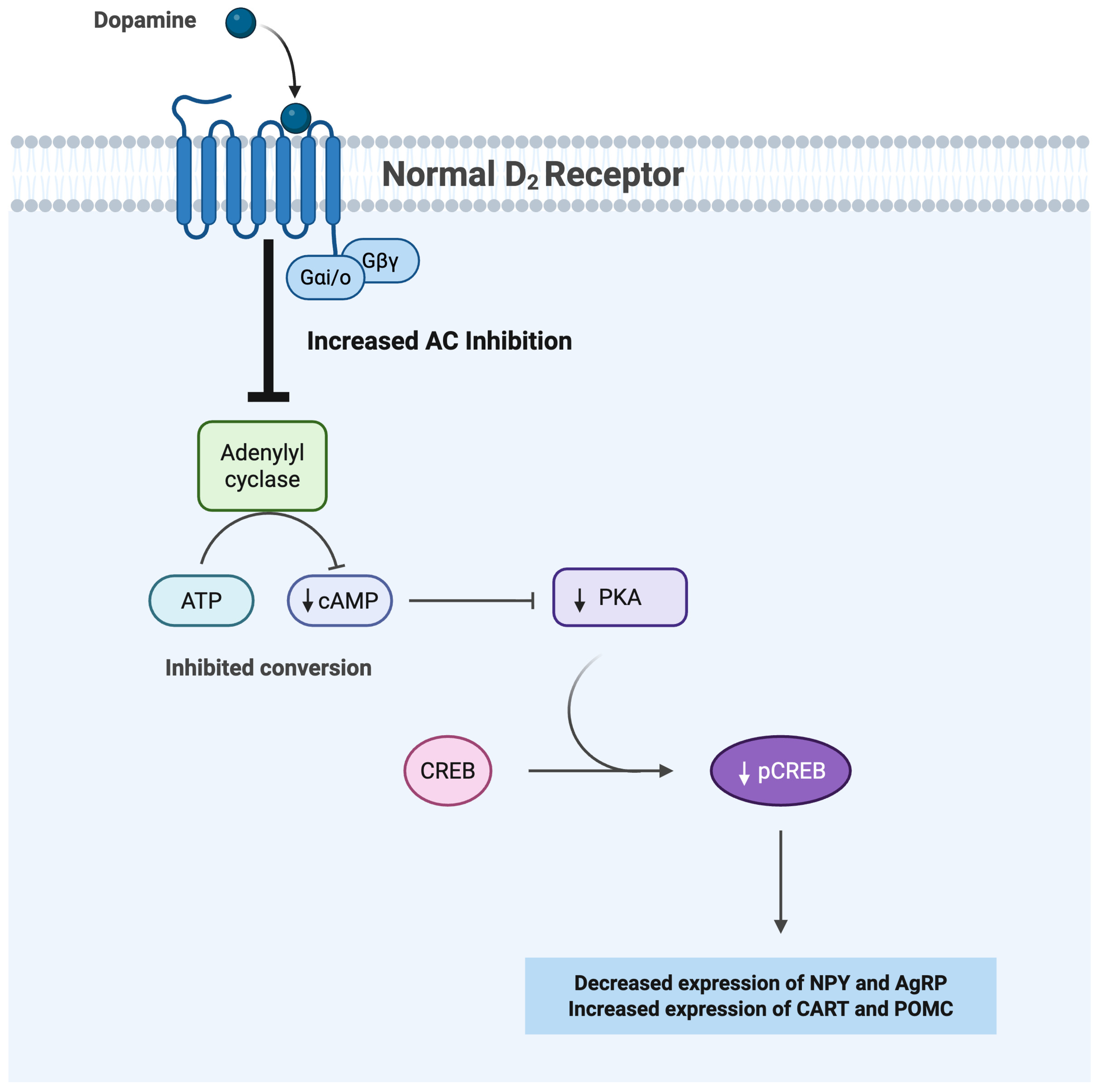 Brainsci 15 00923 g001
