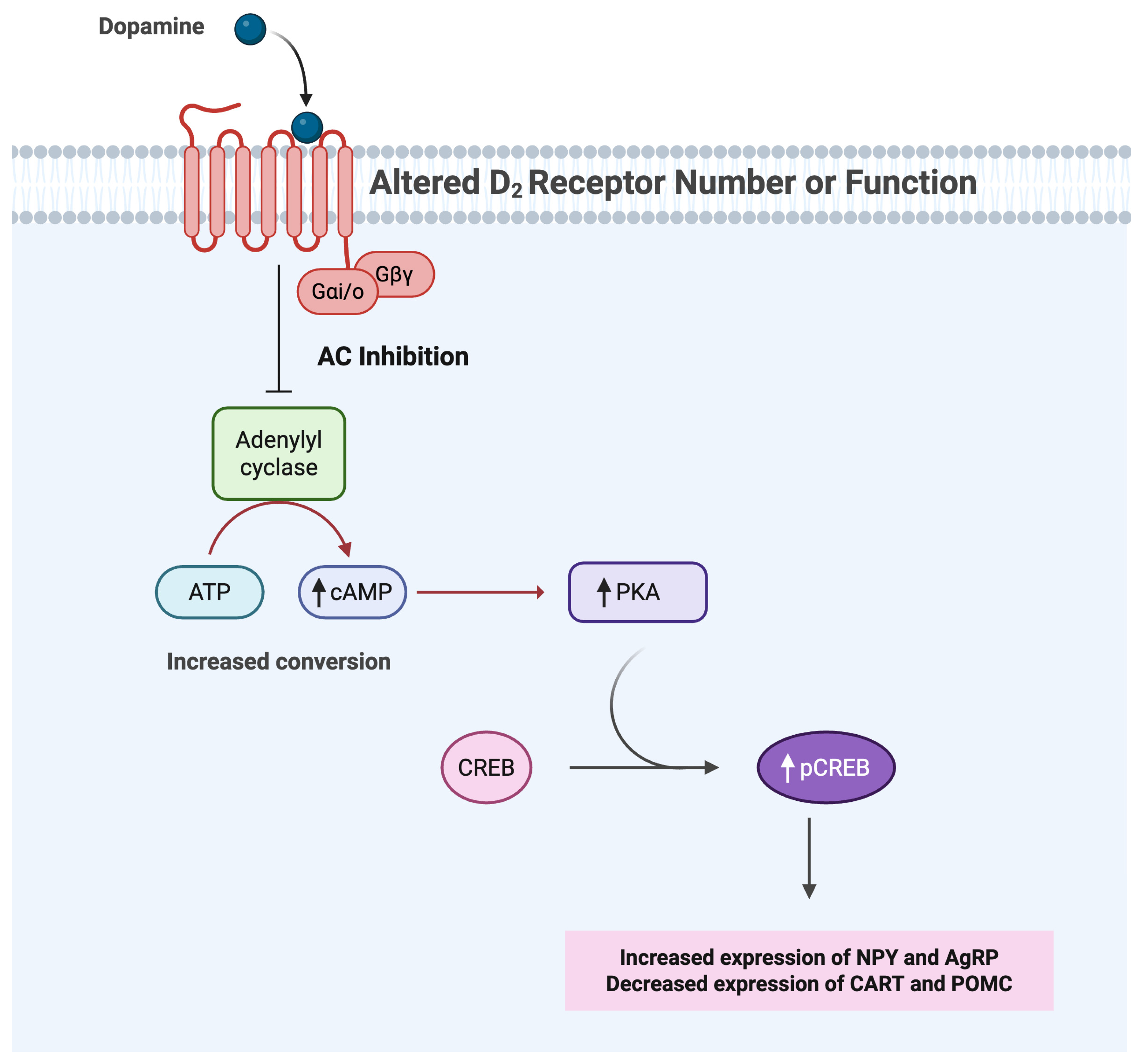 Brainsci 15 00923 g002