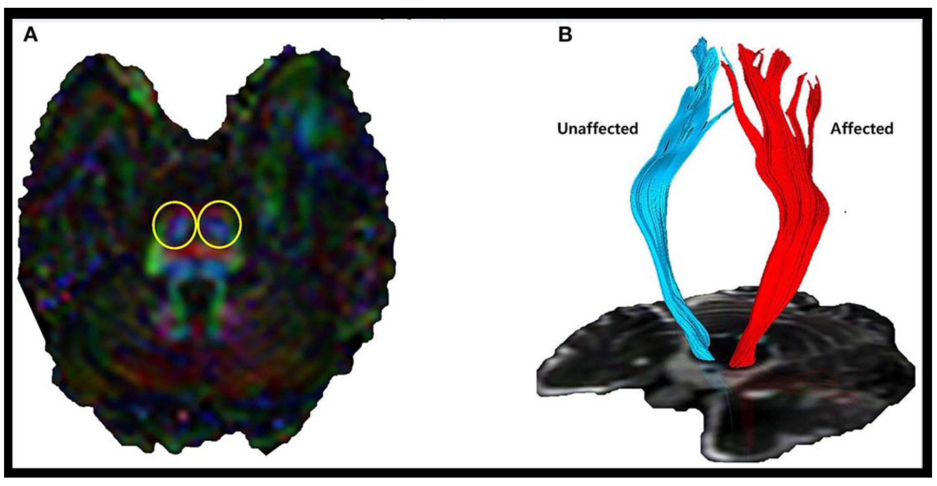 Brainsci 15 00925 g001