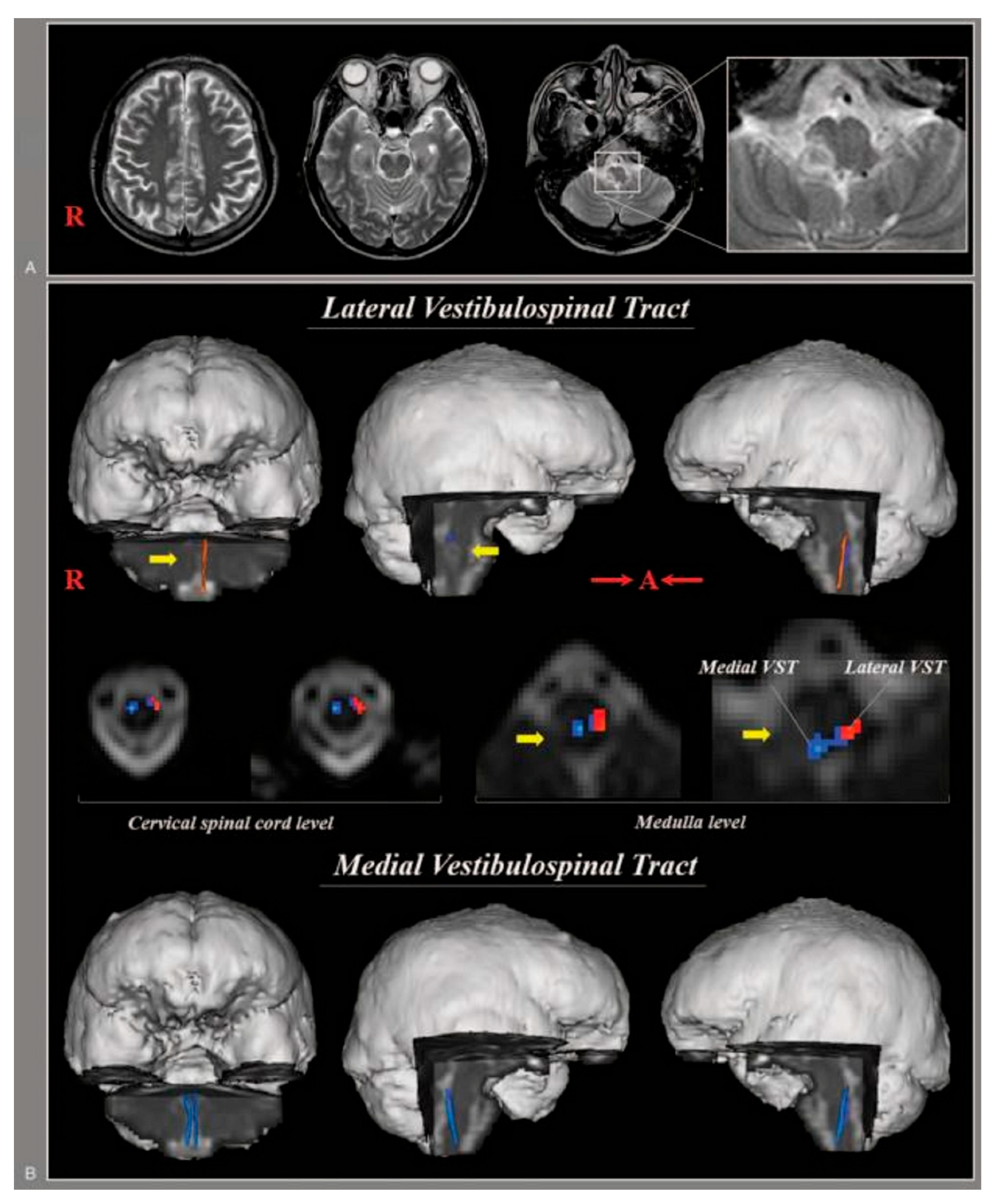 Brainsci 15 00925 g004