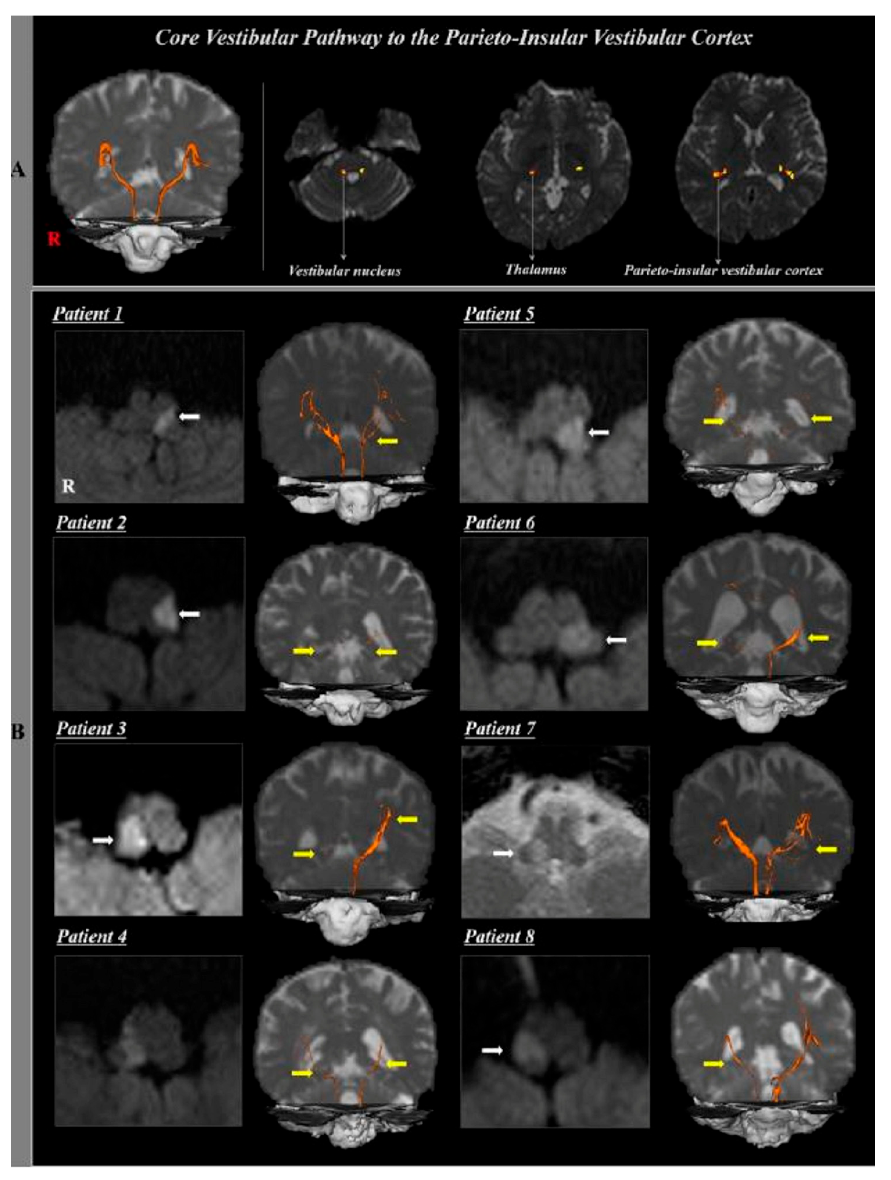 Brainsci 15 00925 g005