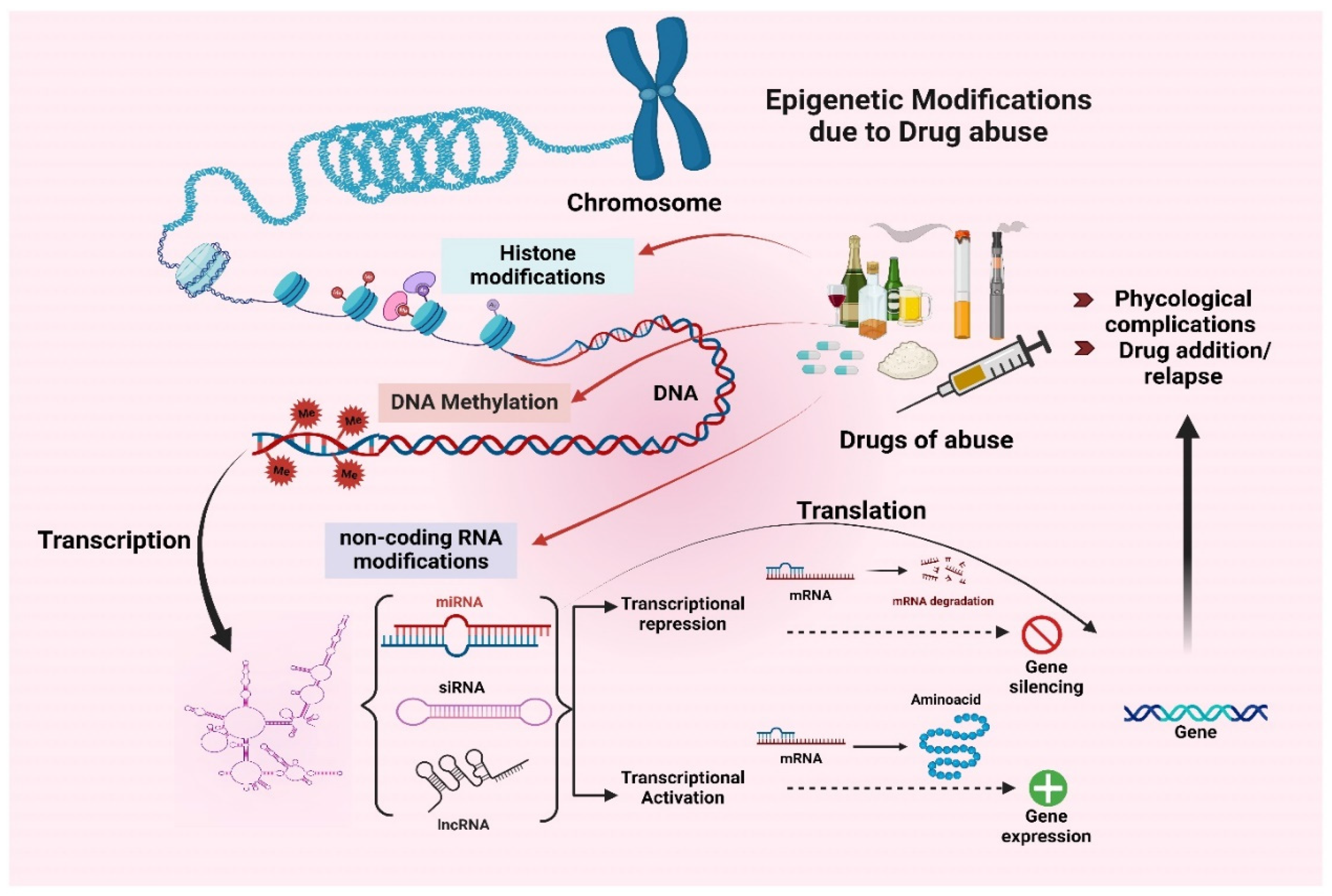 Brainsci 15 00927 g002