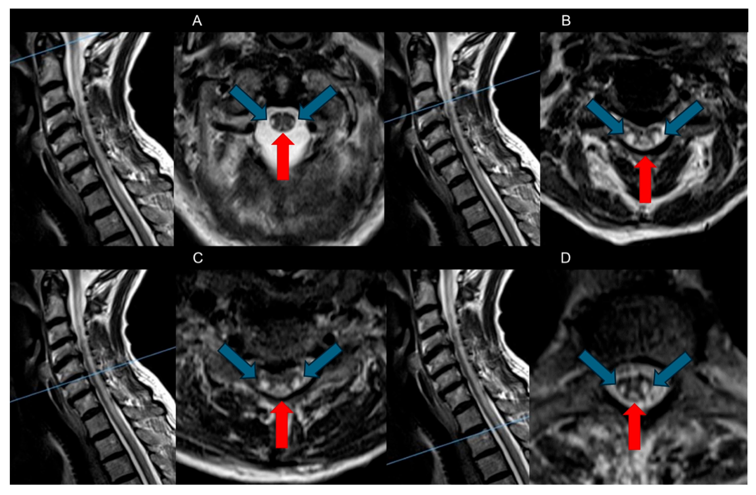 Brainsci 15 00972 g002