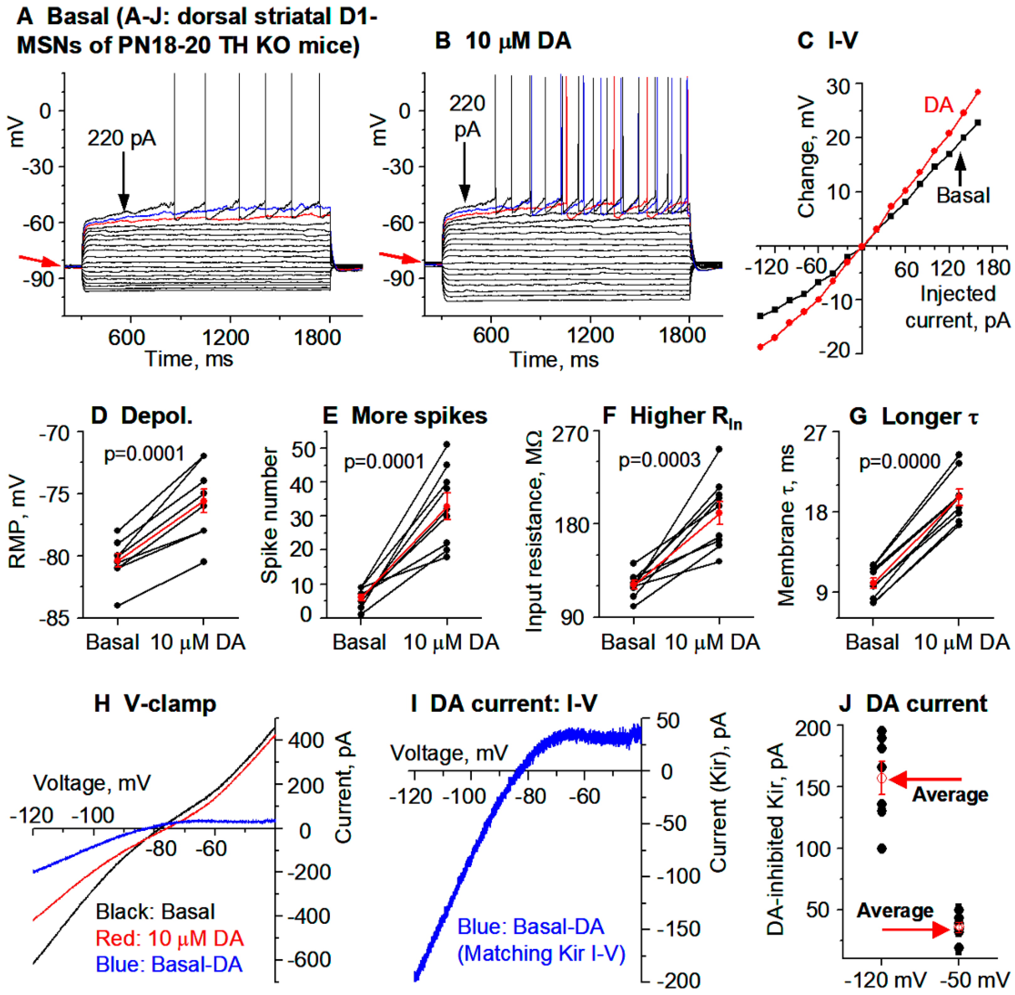 Brainsci 15 00979 g003