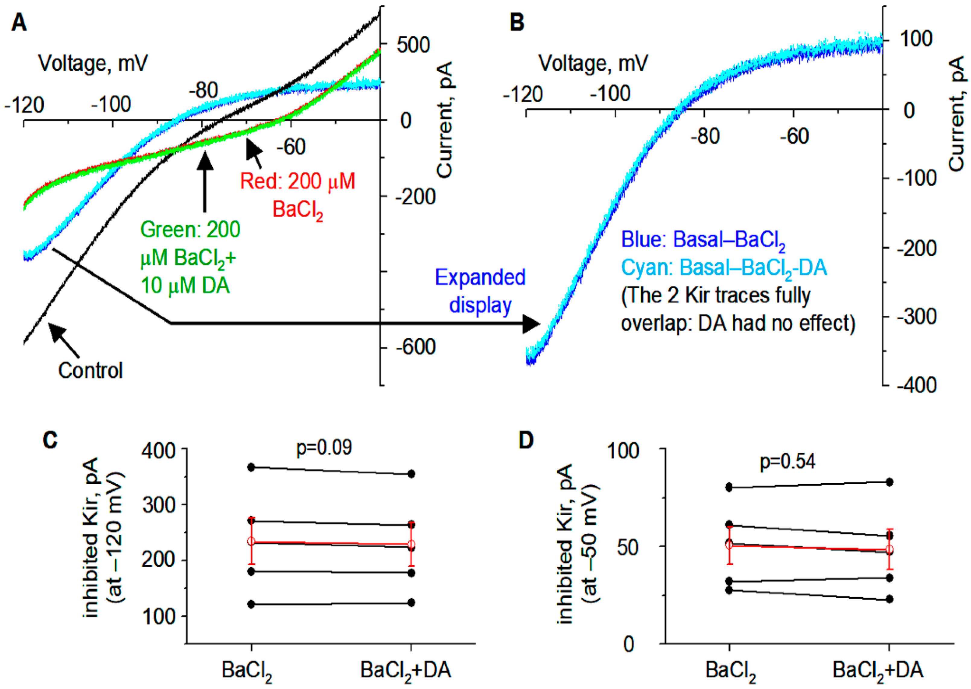 Brainsci 15 00979 g004
