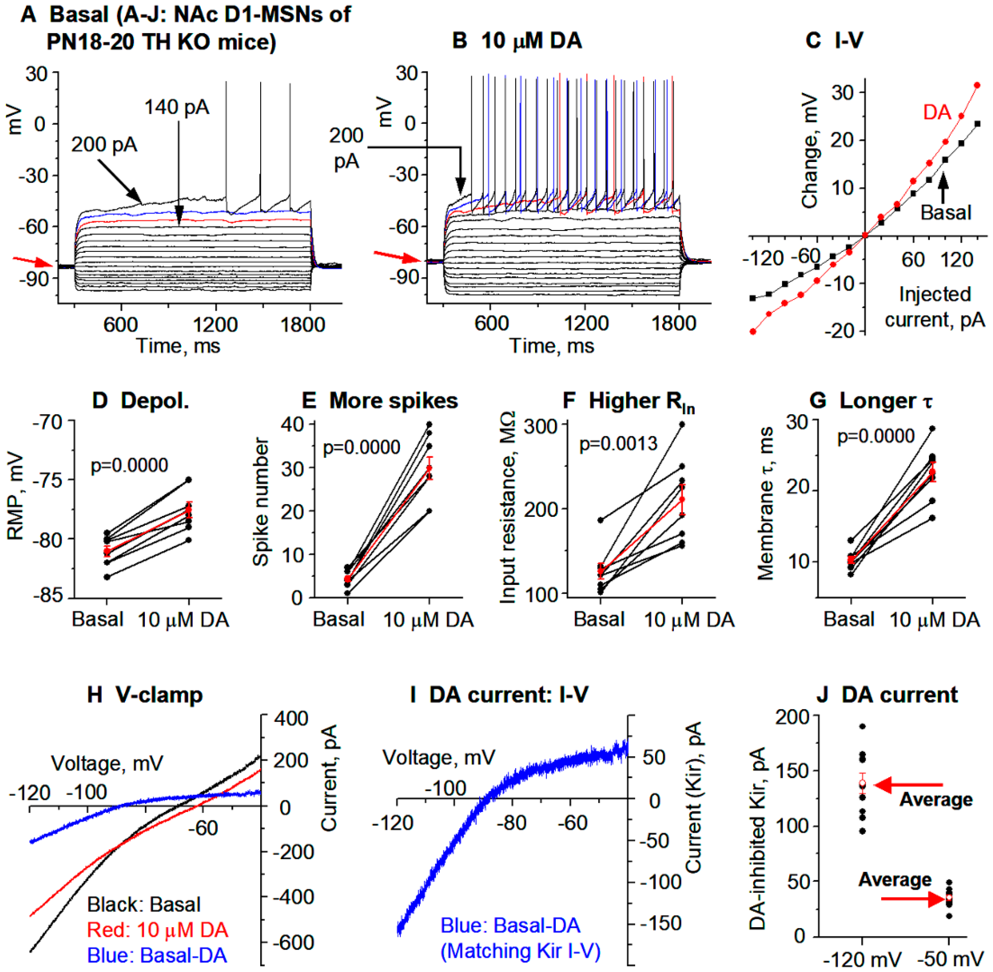 Brainsci 15 00979 g005