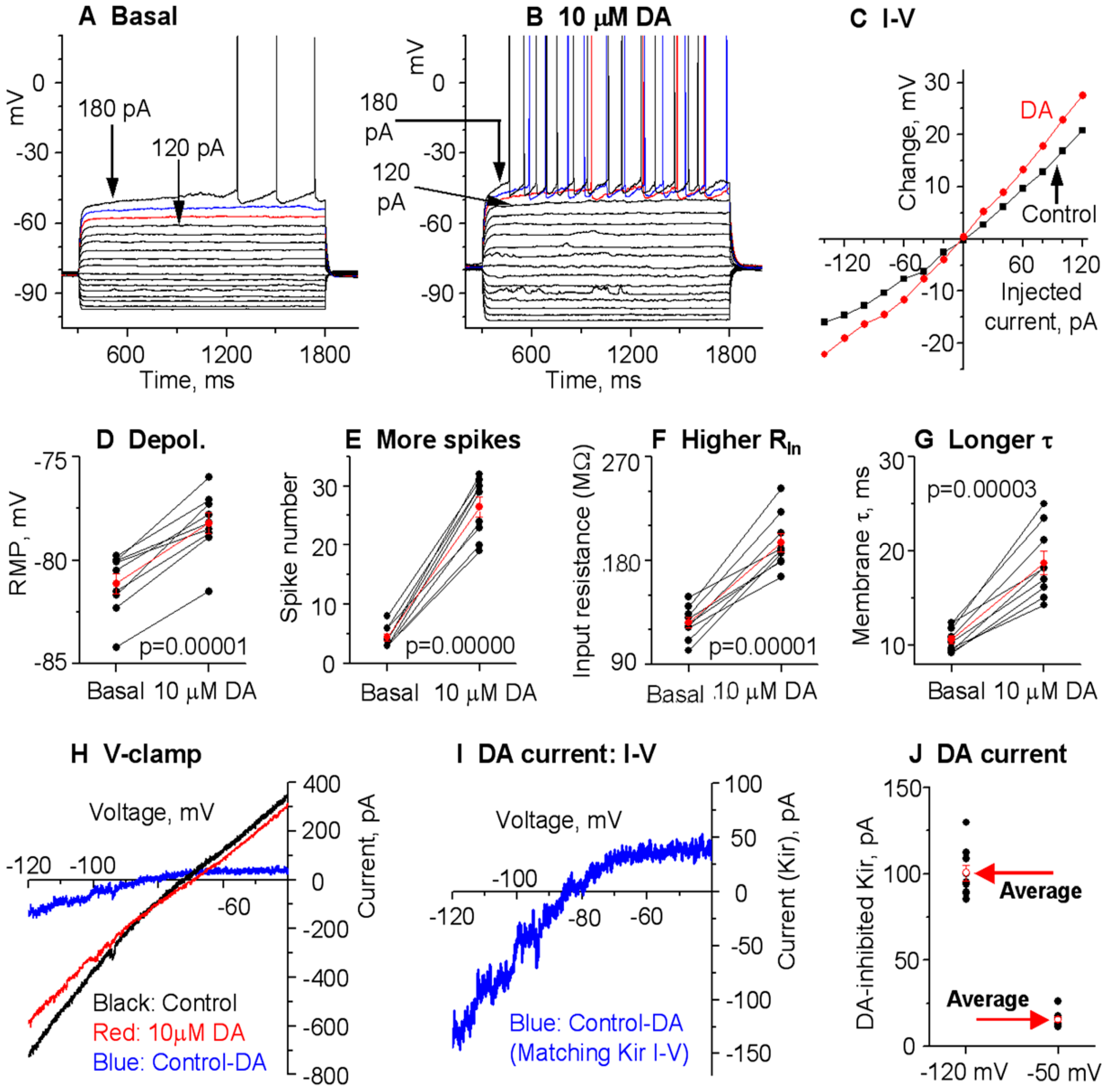 Brainsci 15 00979 g007