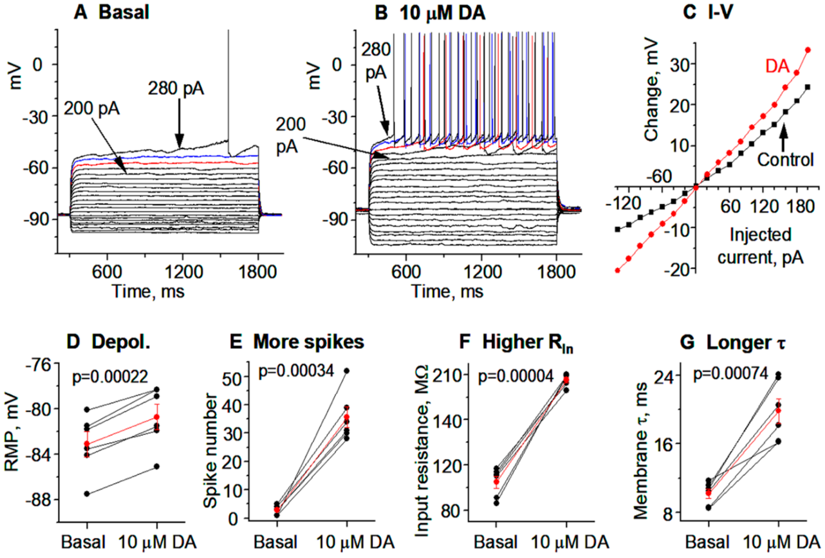Brainsci 15 00979 g008