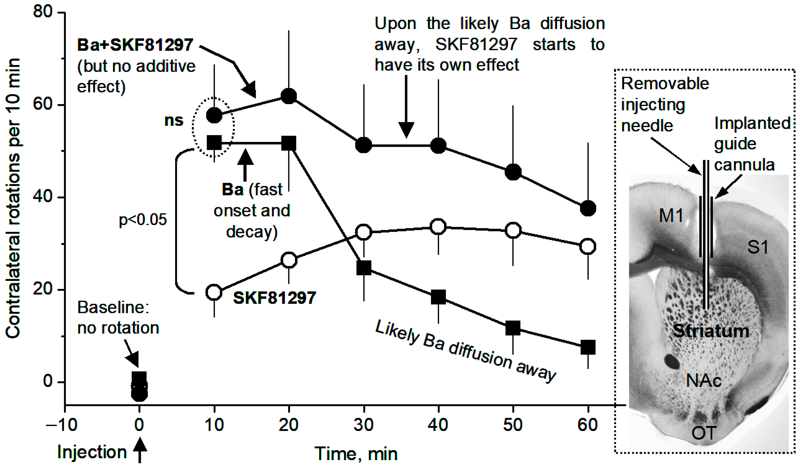 Brainsci 15 00979 g010