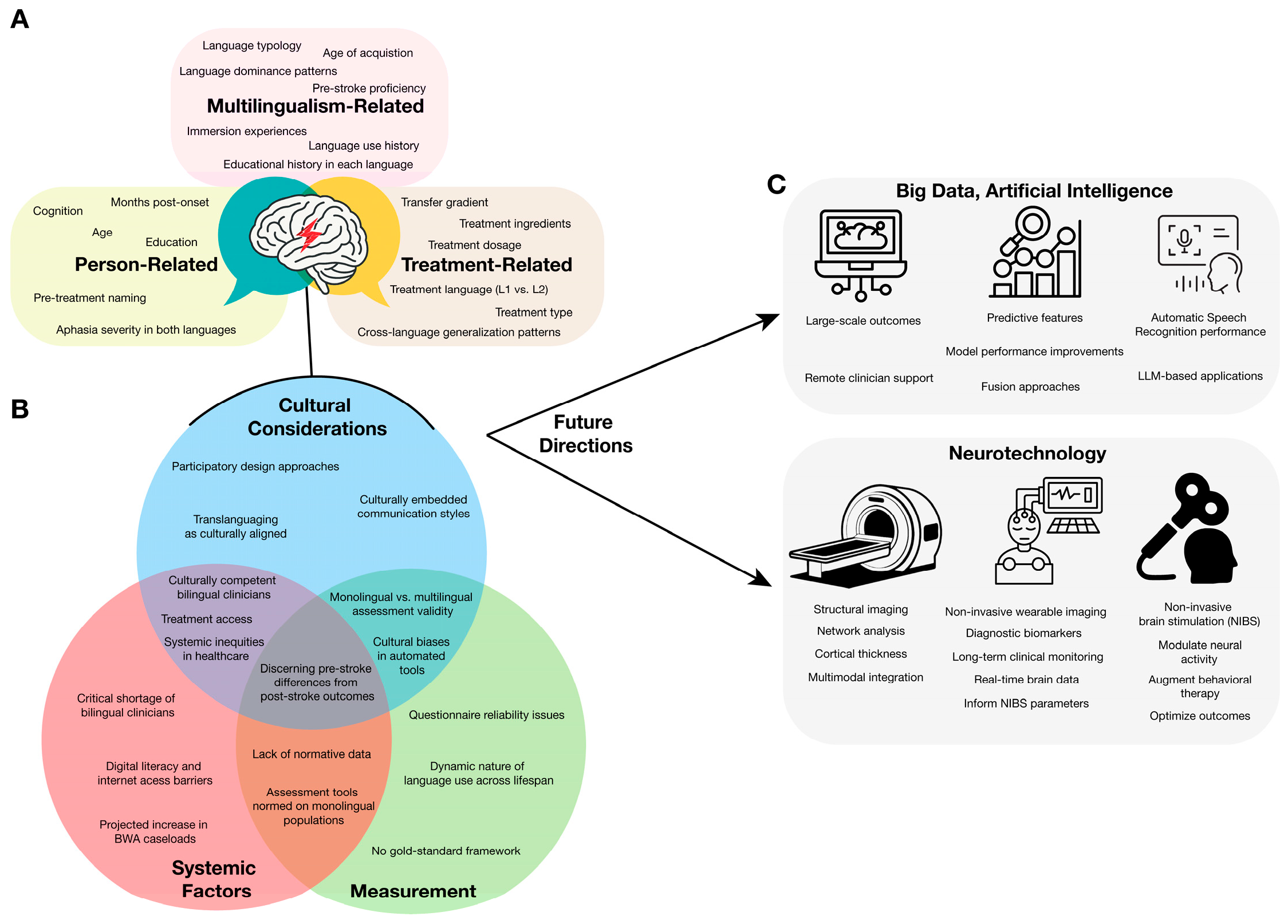 Brainsci 15 00989 g001