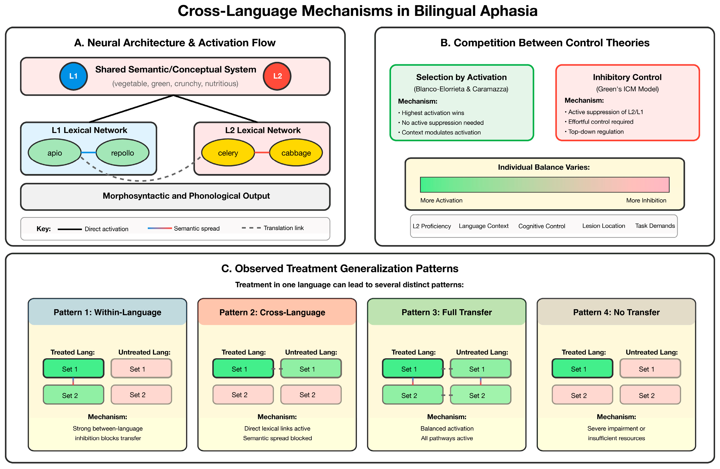 Brainsci 15 00989 g002