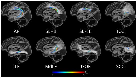 Brainsci 15 01039 g005