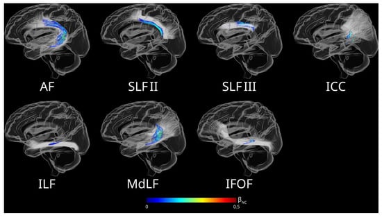 Brainsci 15 01039 g0a3