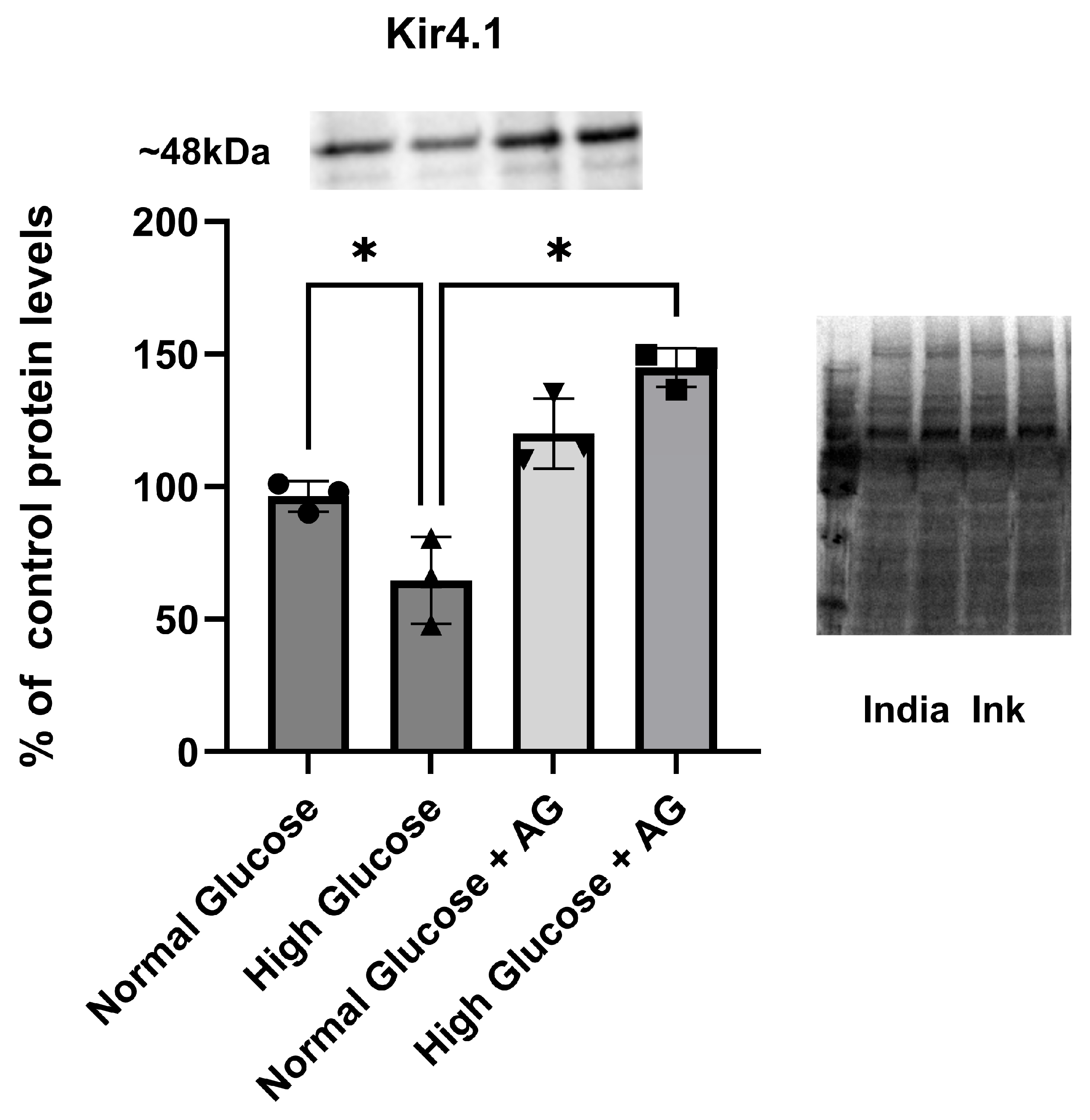 Brainsci 15 01075 g002