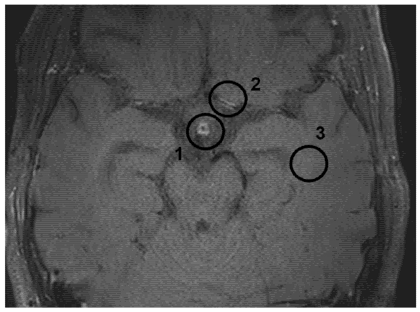 Brainsci 15 01089 g001 Brainsci 15 01089 g001